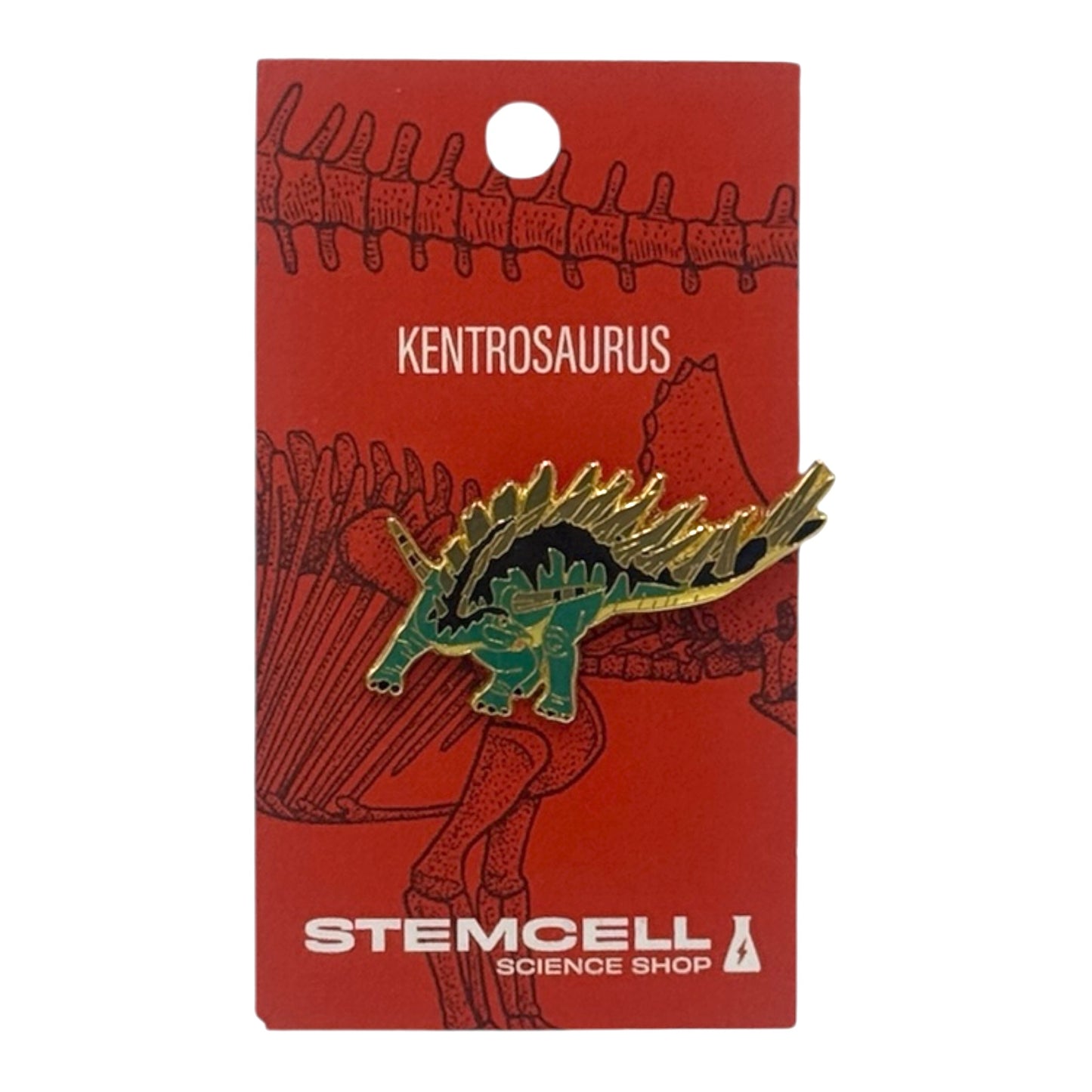 Prehistoric Pin