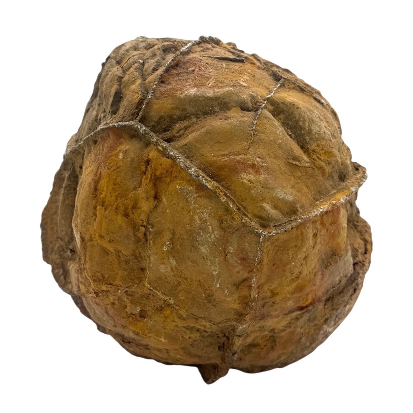 Septarian Nodule