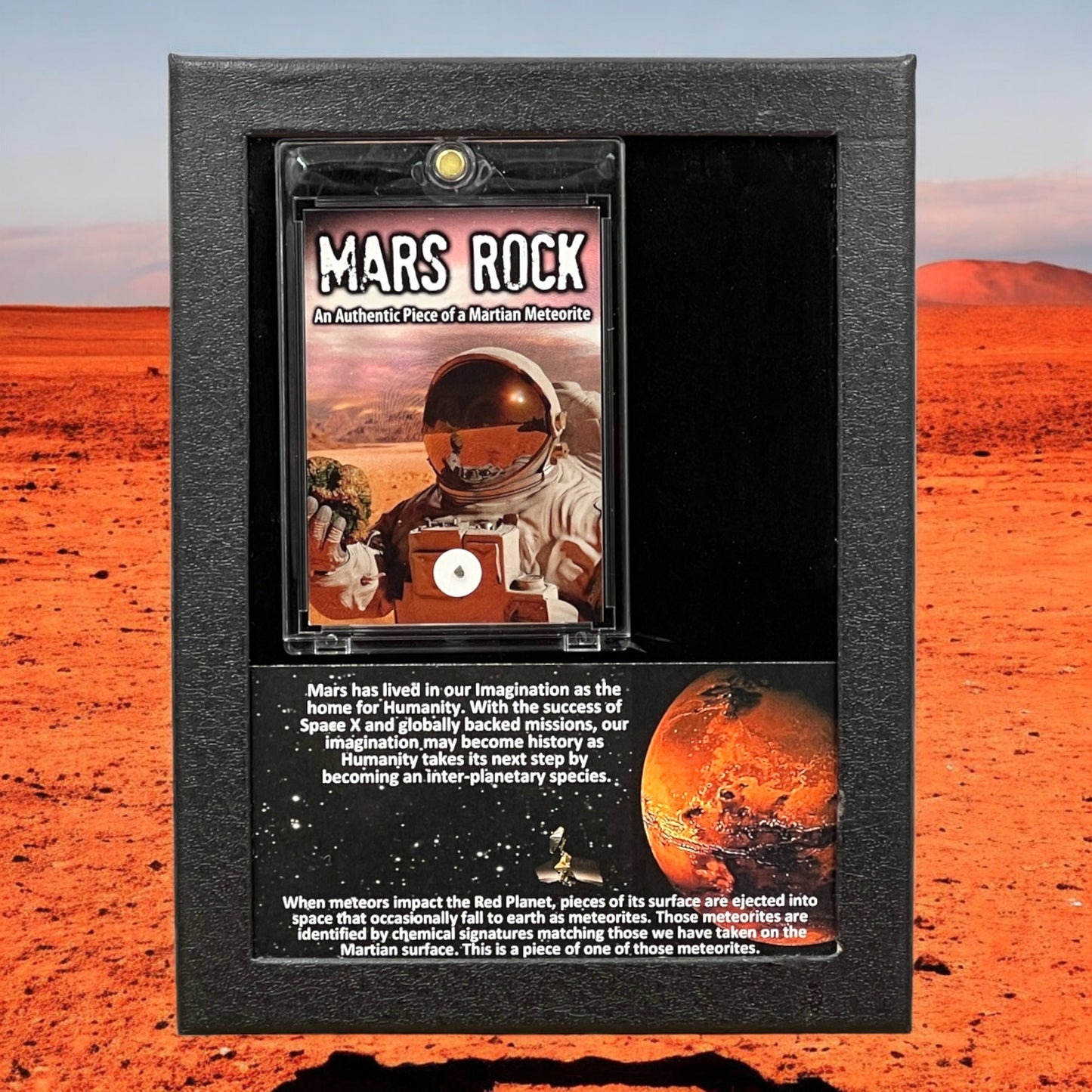 Mars Rock Display