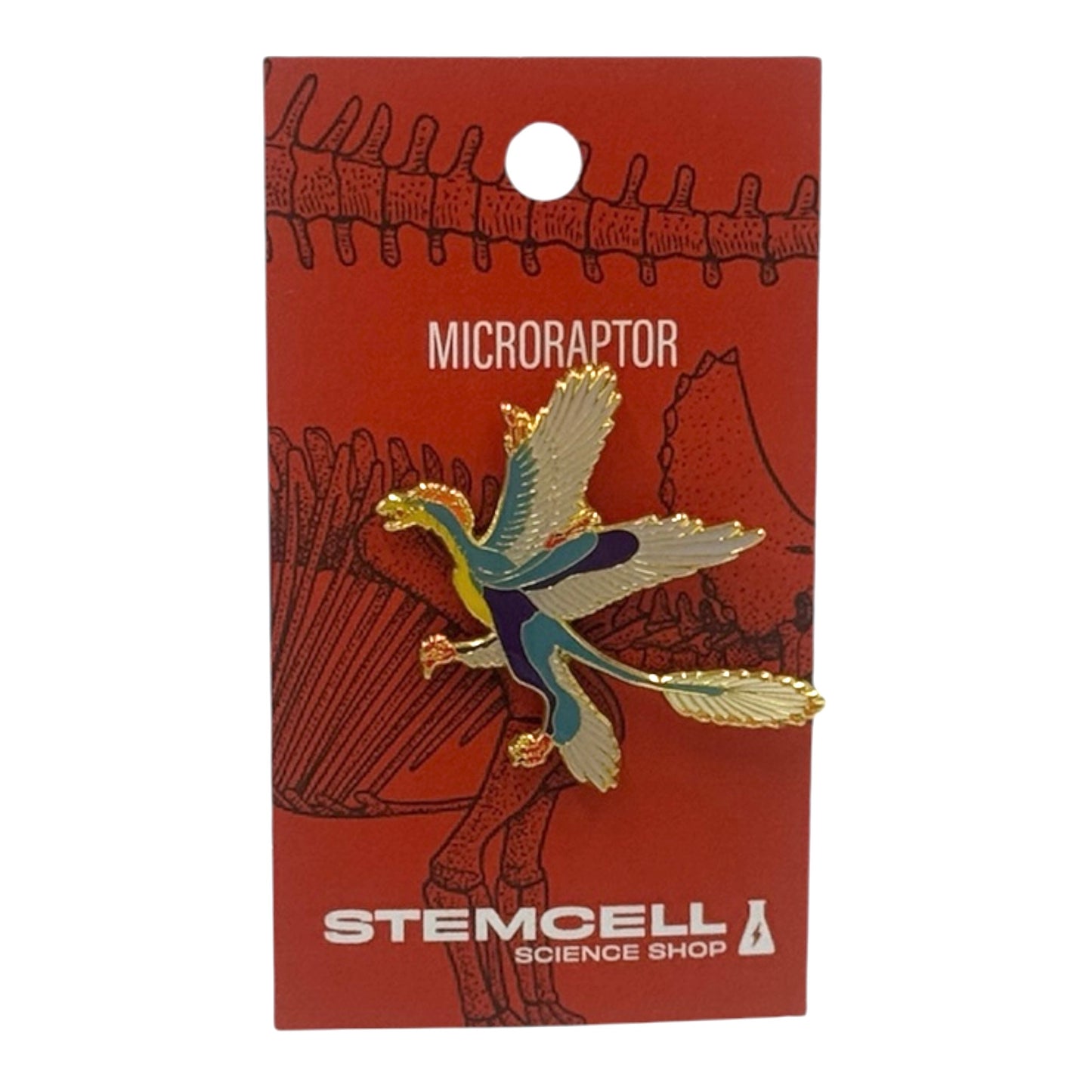 Prehistoric Pin