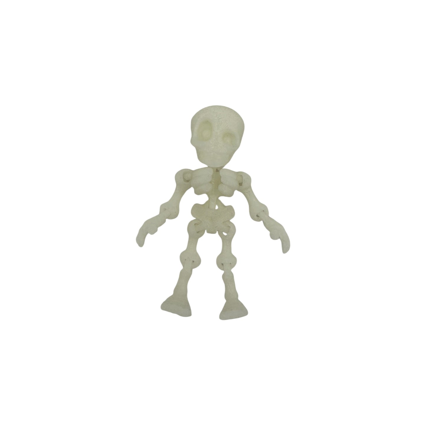 3D Printed Human Skeleton