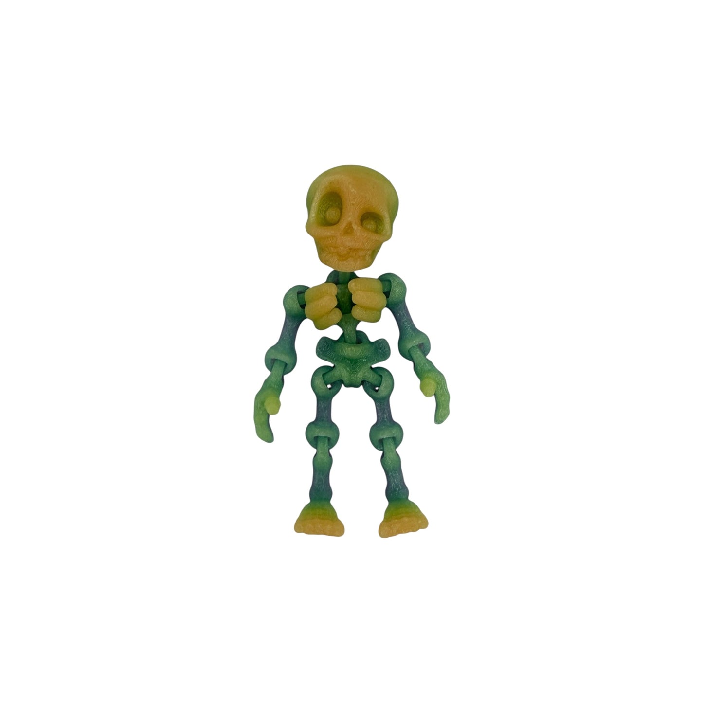 3D Printed Human Skeleton