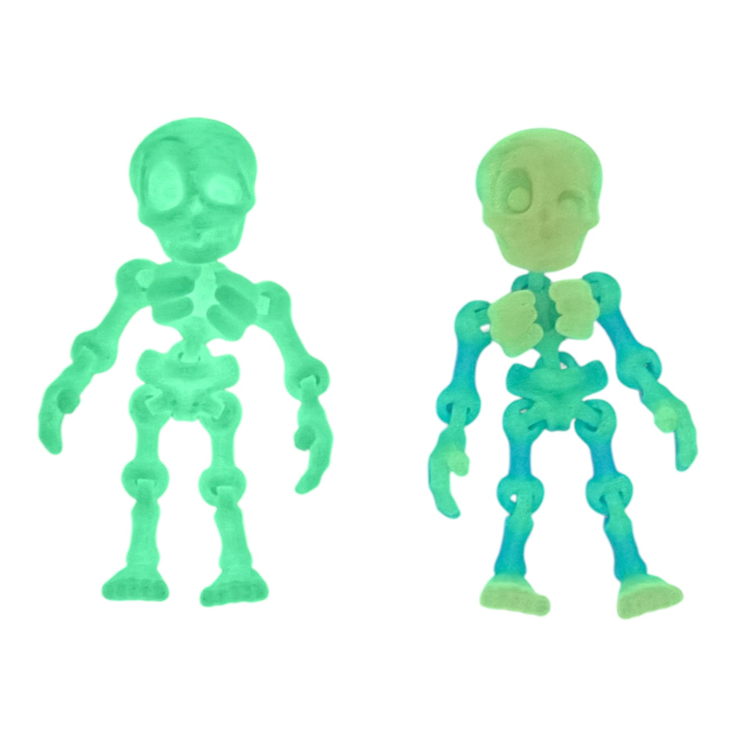 3D Printed Human Skeleton