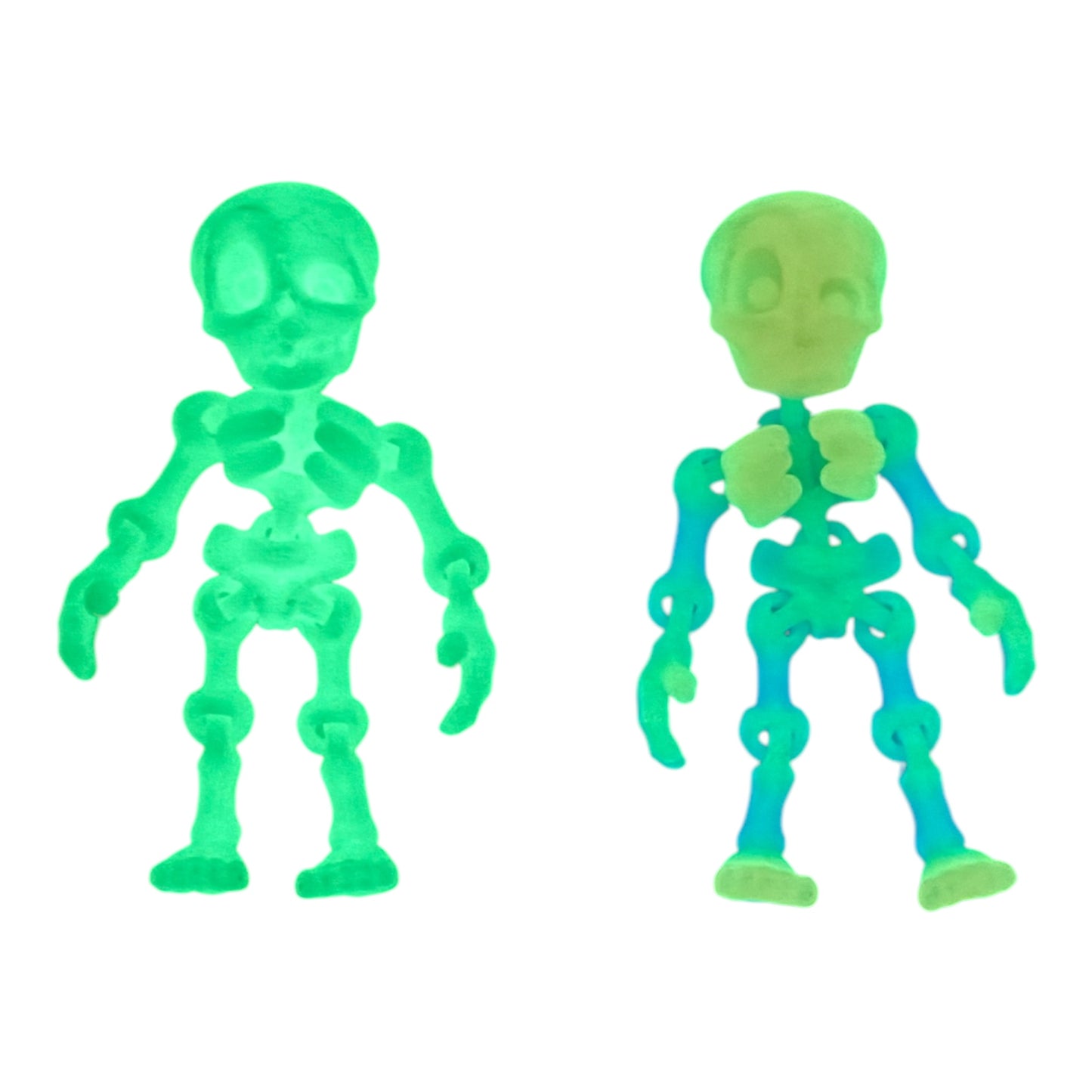 3D Printed Human Skeleton