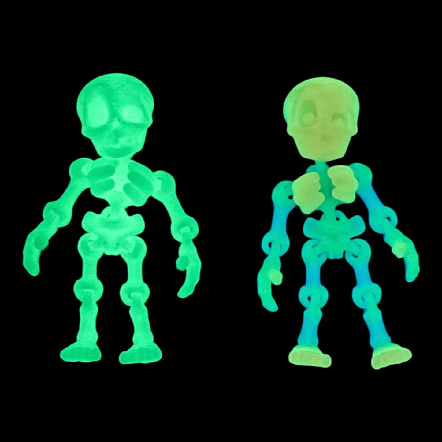 3D Printed Human Skeleton
