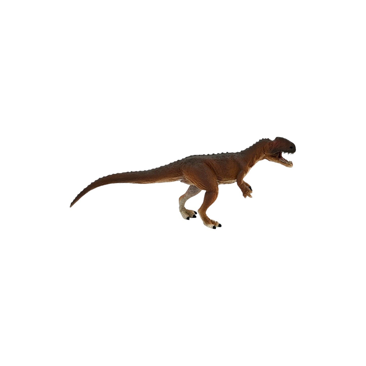 Monolophosaurus (Safari)