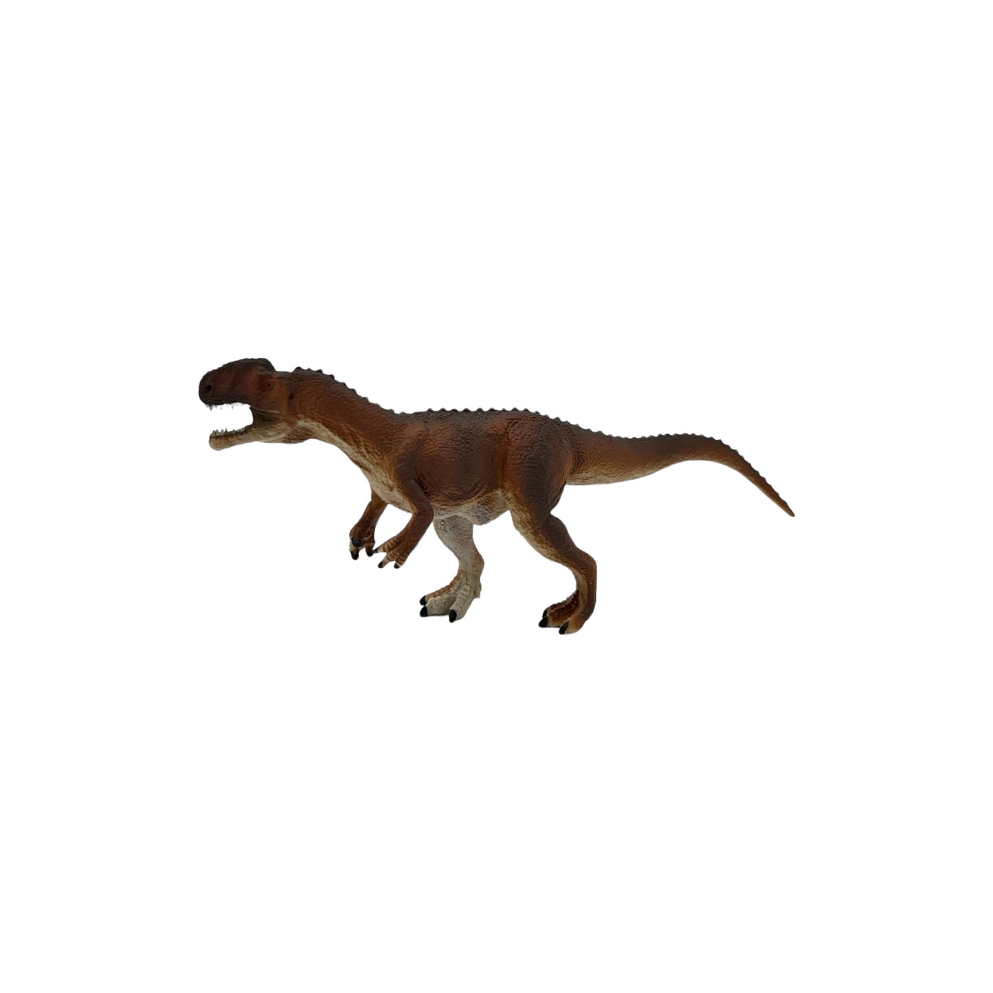 Monolophosaurus (Safari)