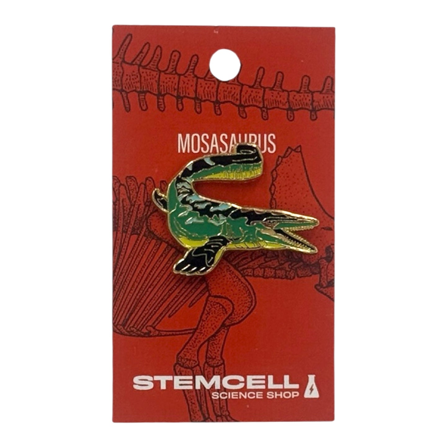 Prehistoric Pin