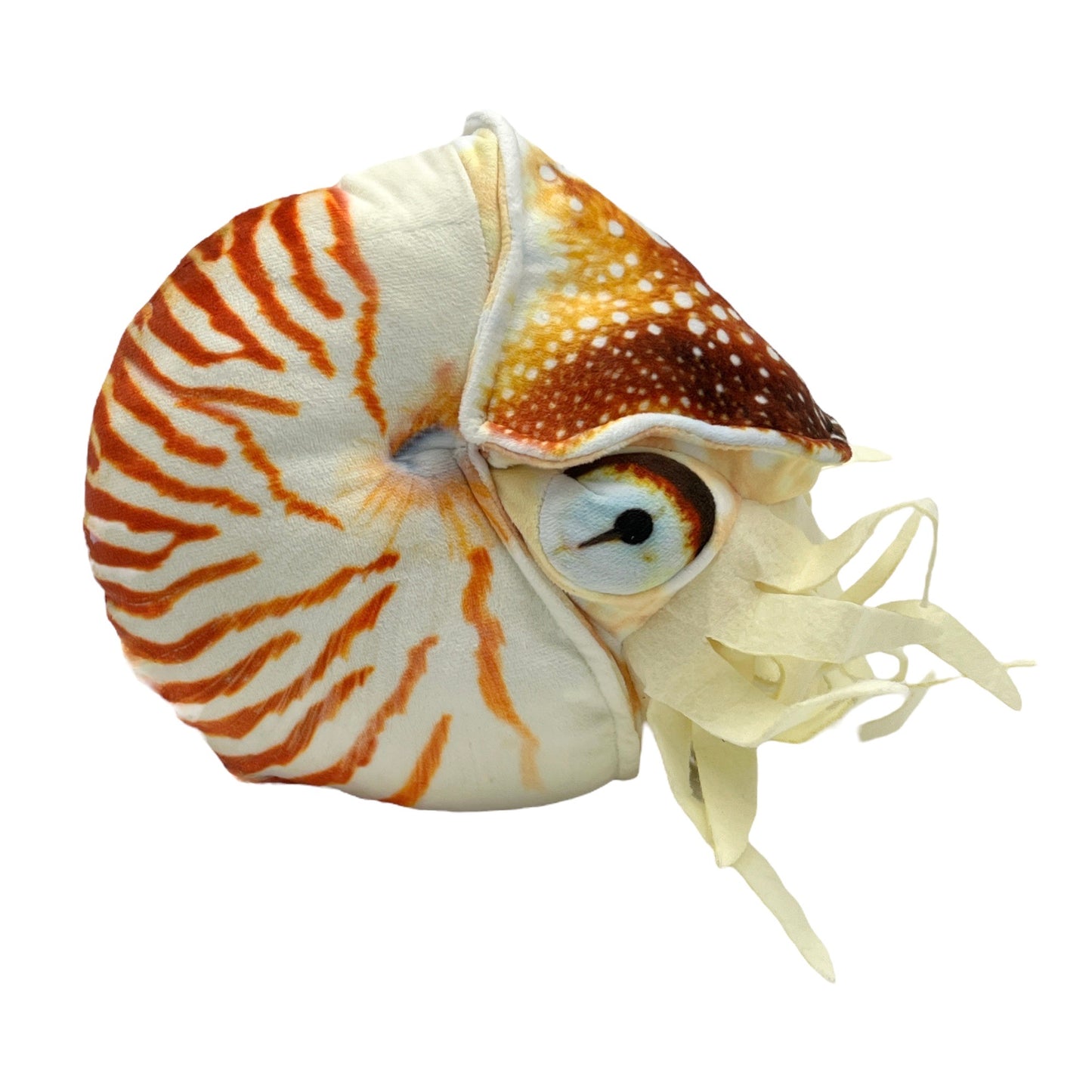 Nautilus Plush
