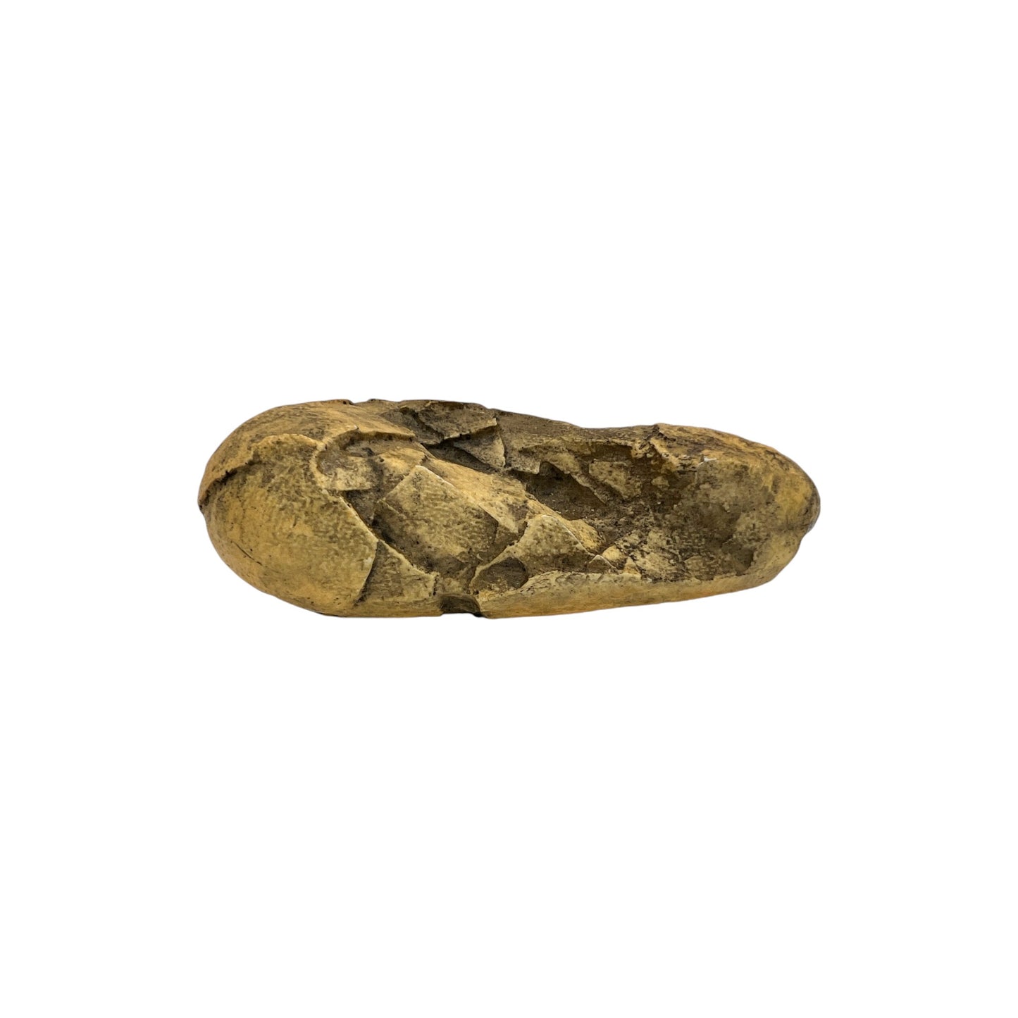 Egg Replica (Oviraptor)