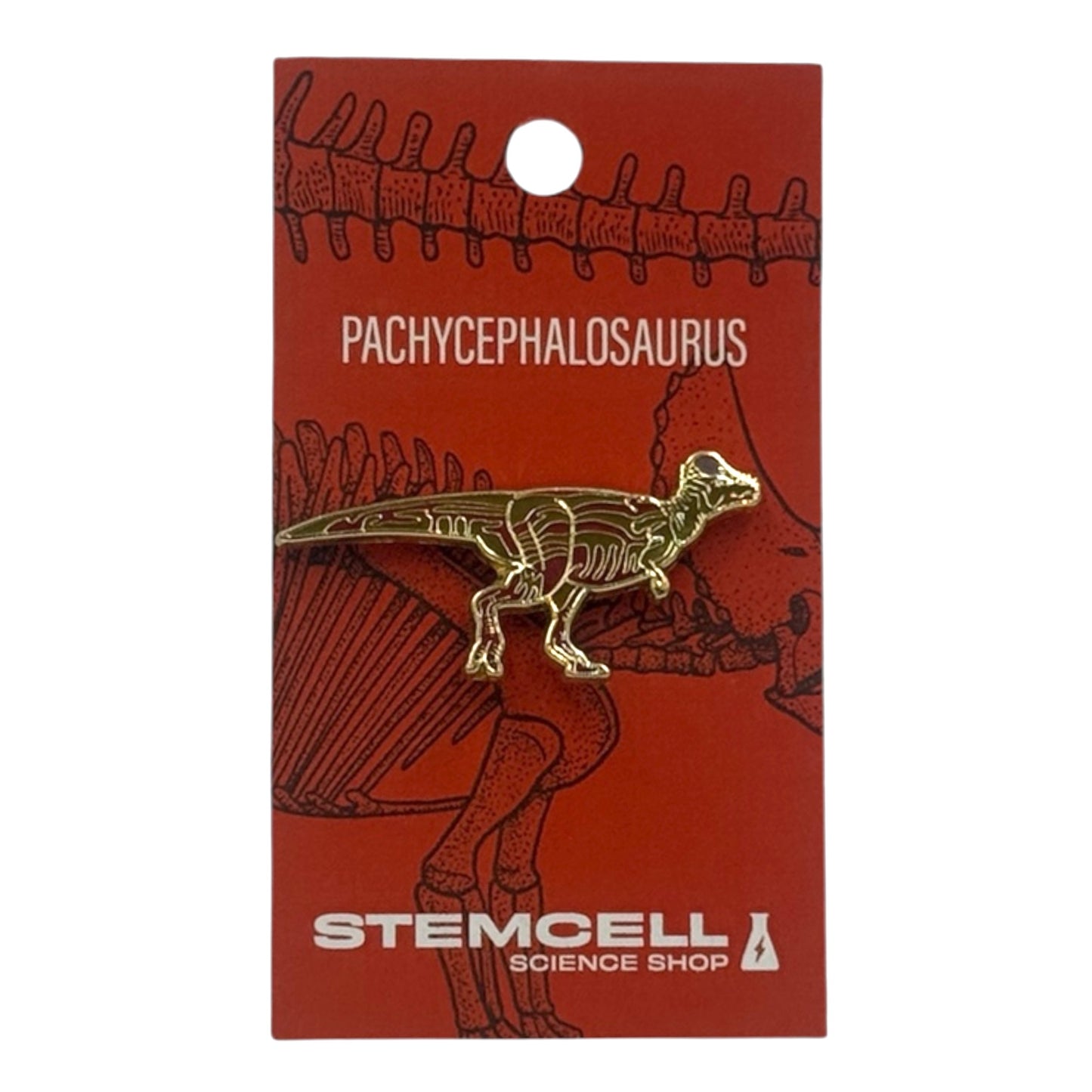 Prehistoric Pin