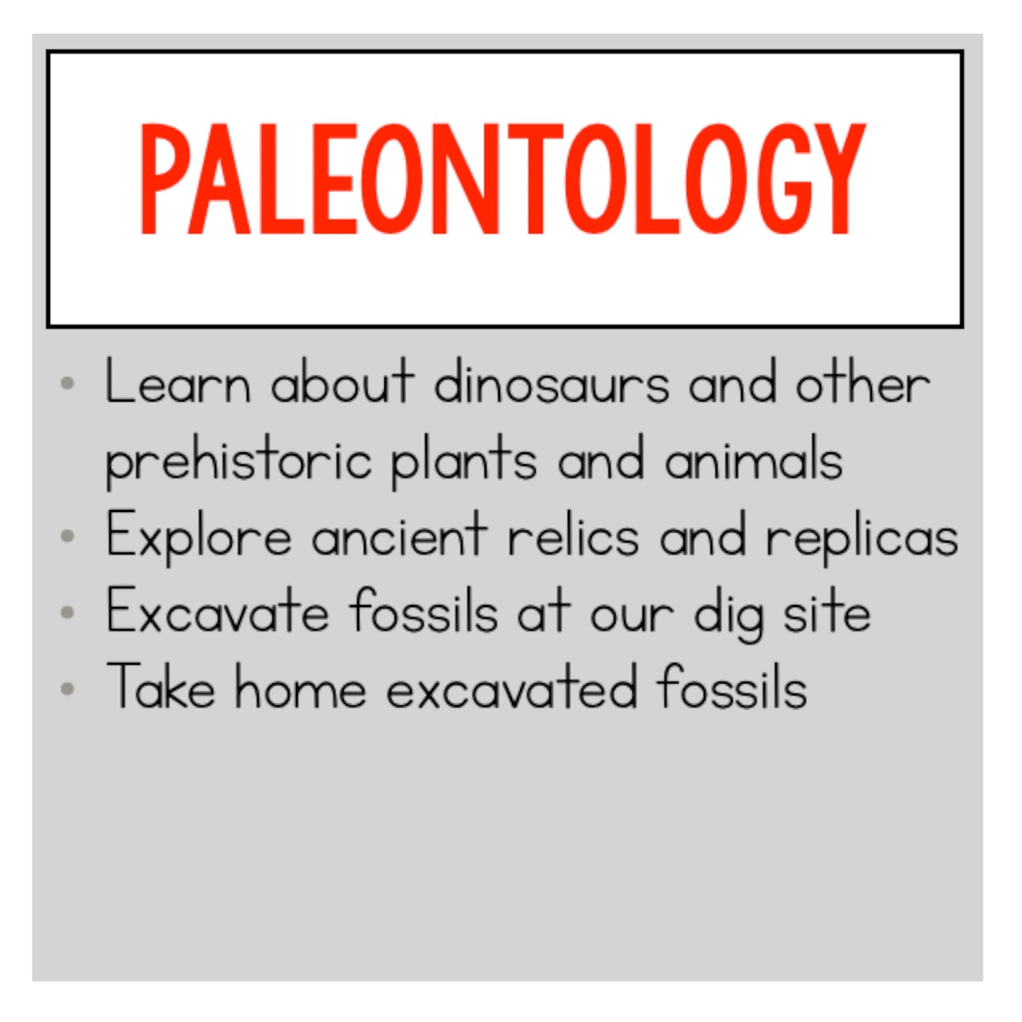 Paleontology Class (Fossils)