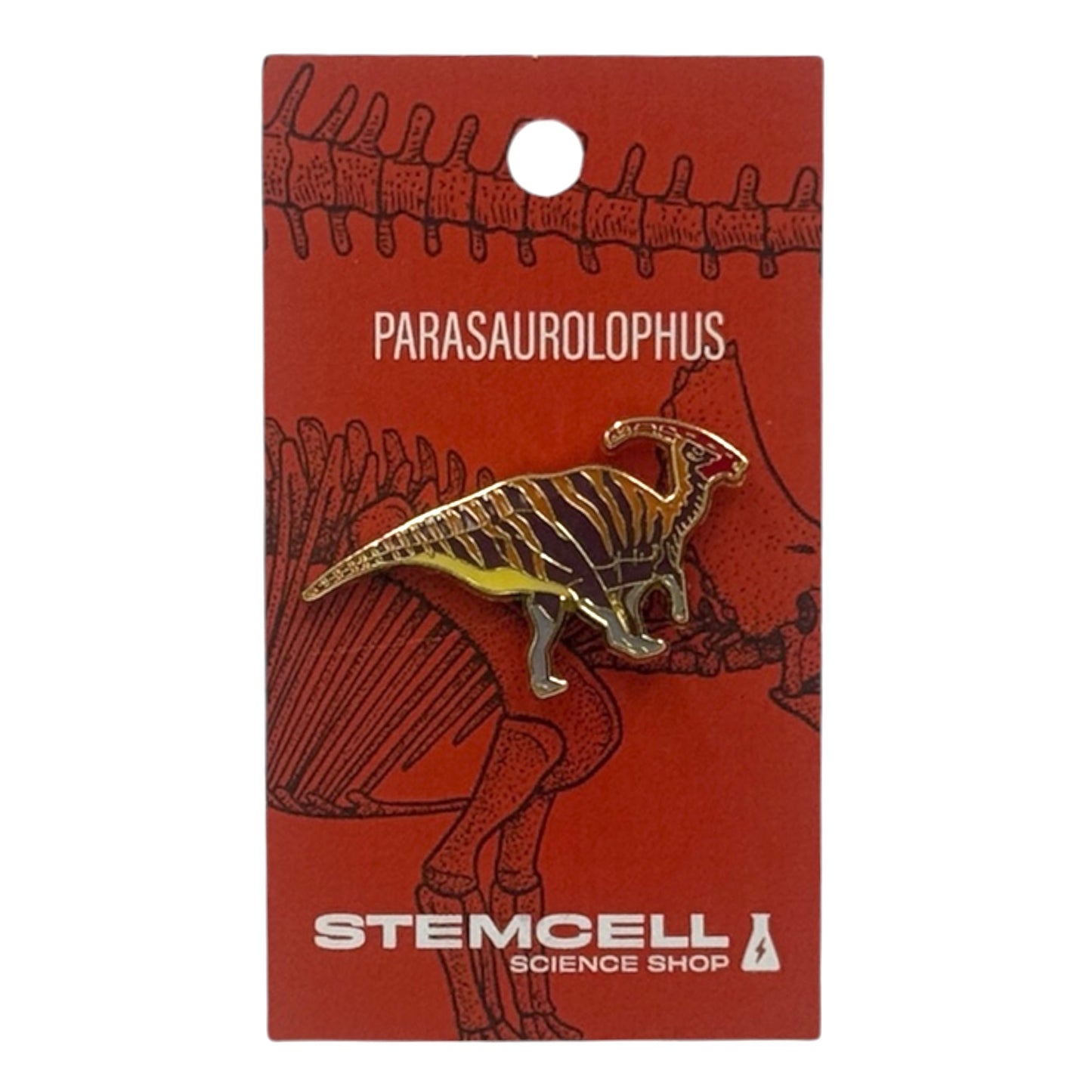 Prehistoric Pin