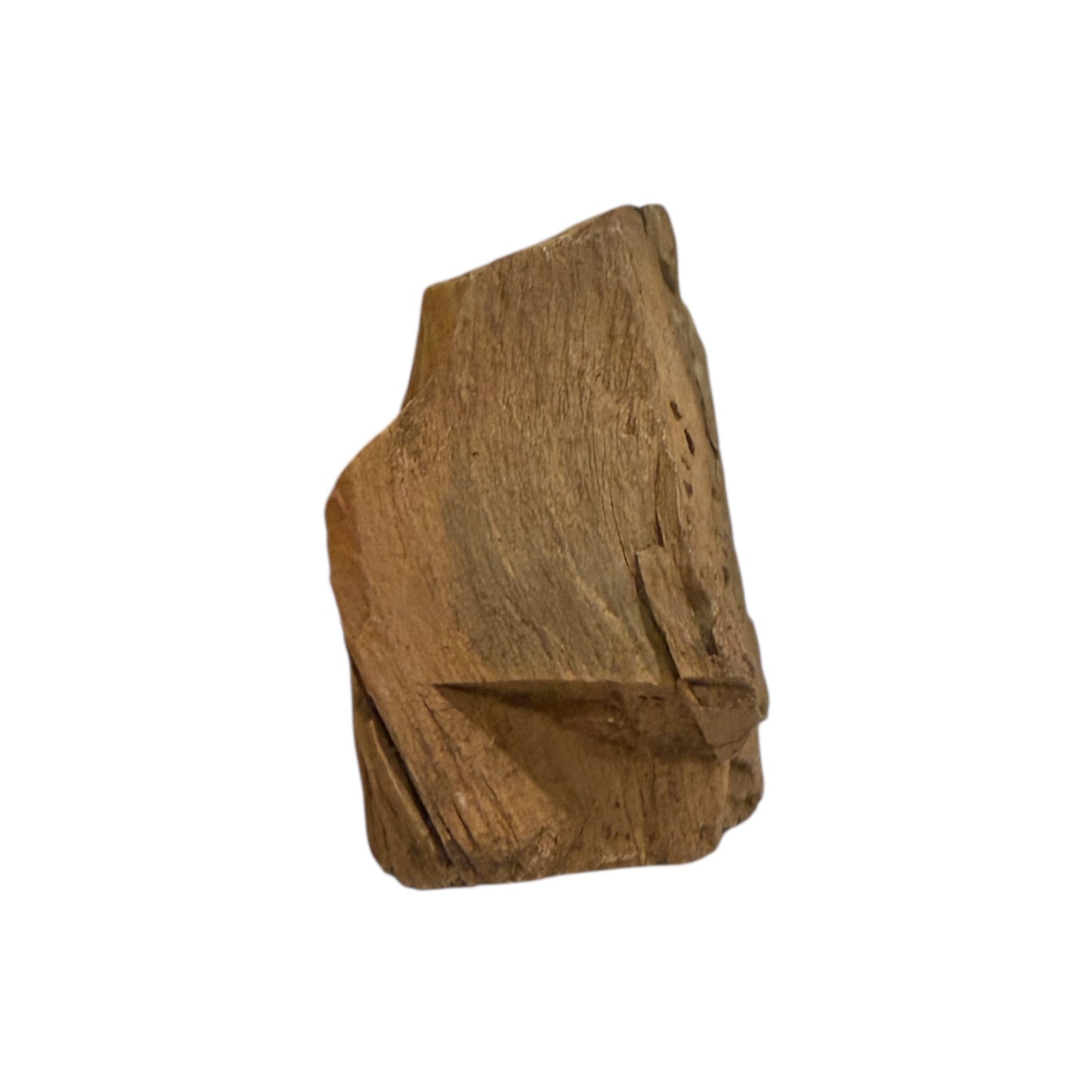 Petrified Wood