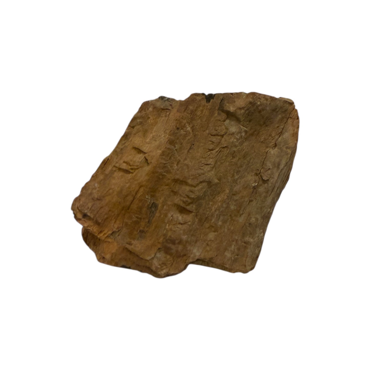 Petrified Wood