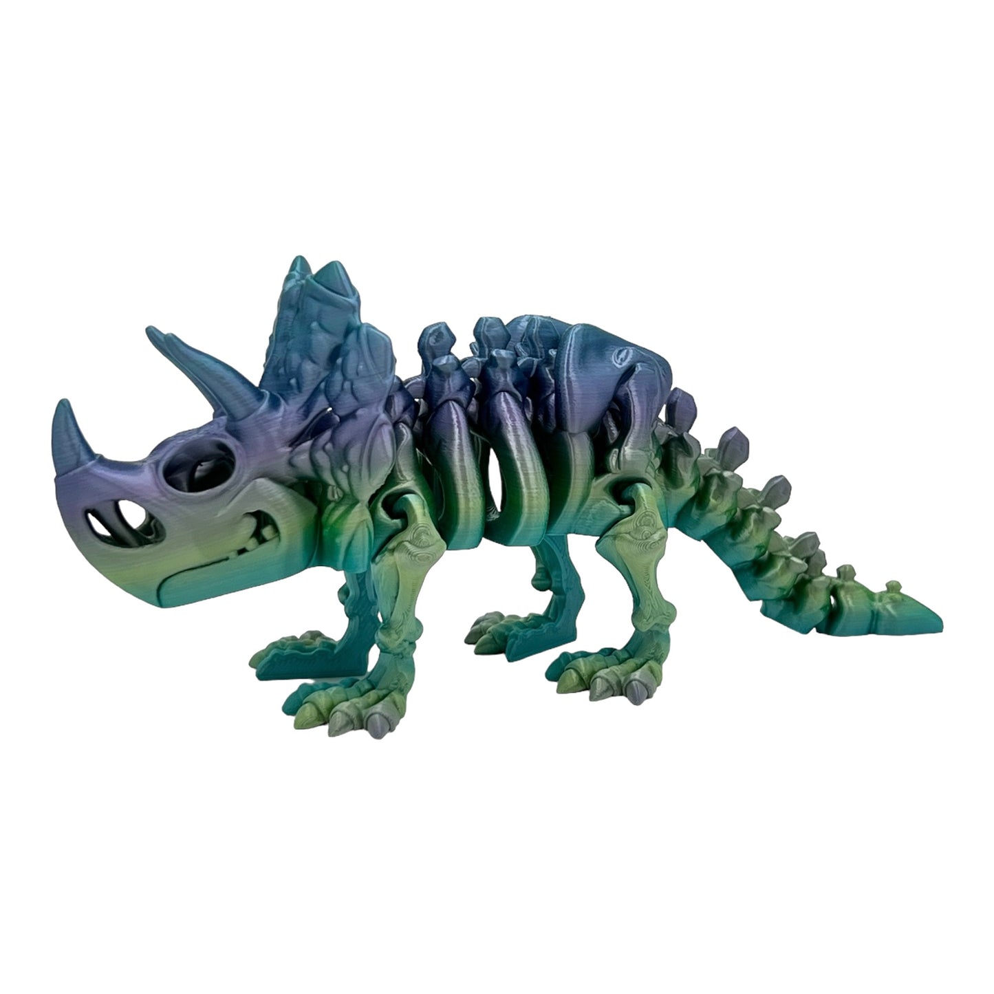 3D Printed Triceratops Skeleton