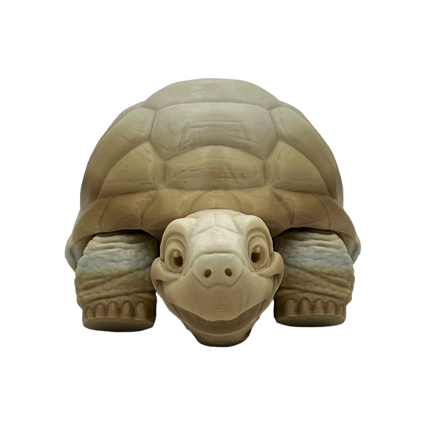 3D Printed Desert Tortoise