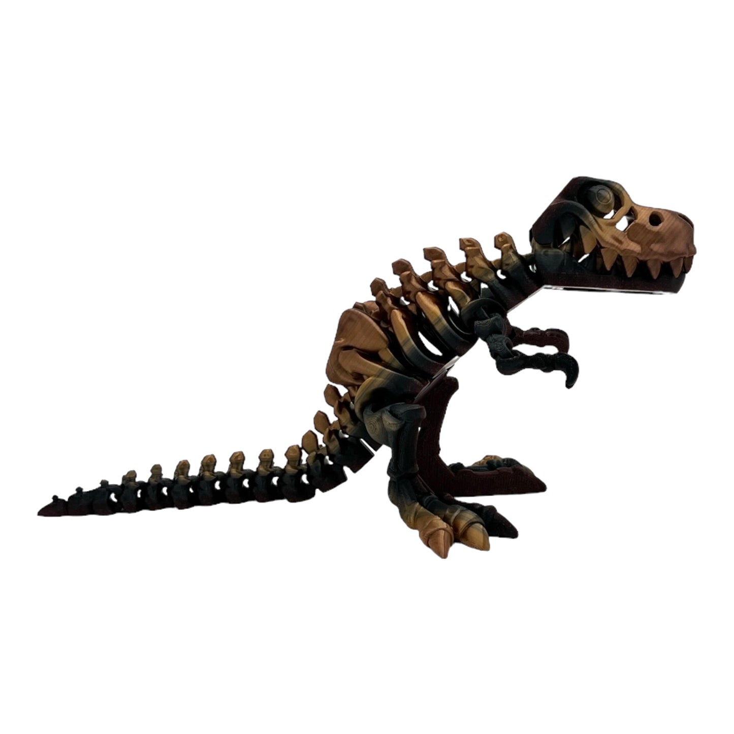 3D Printed T-Rex Skeleton