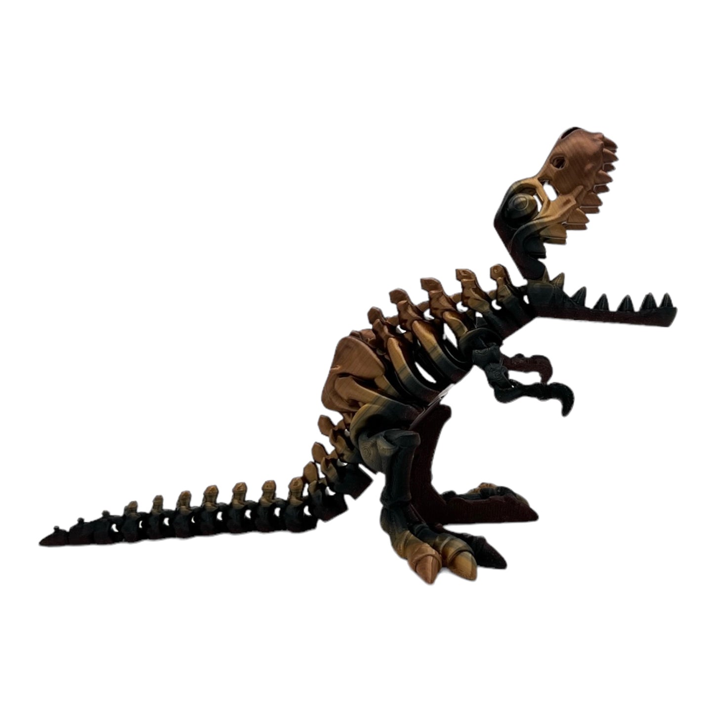 3D Printed T-Rex Skeleton