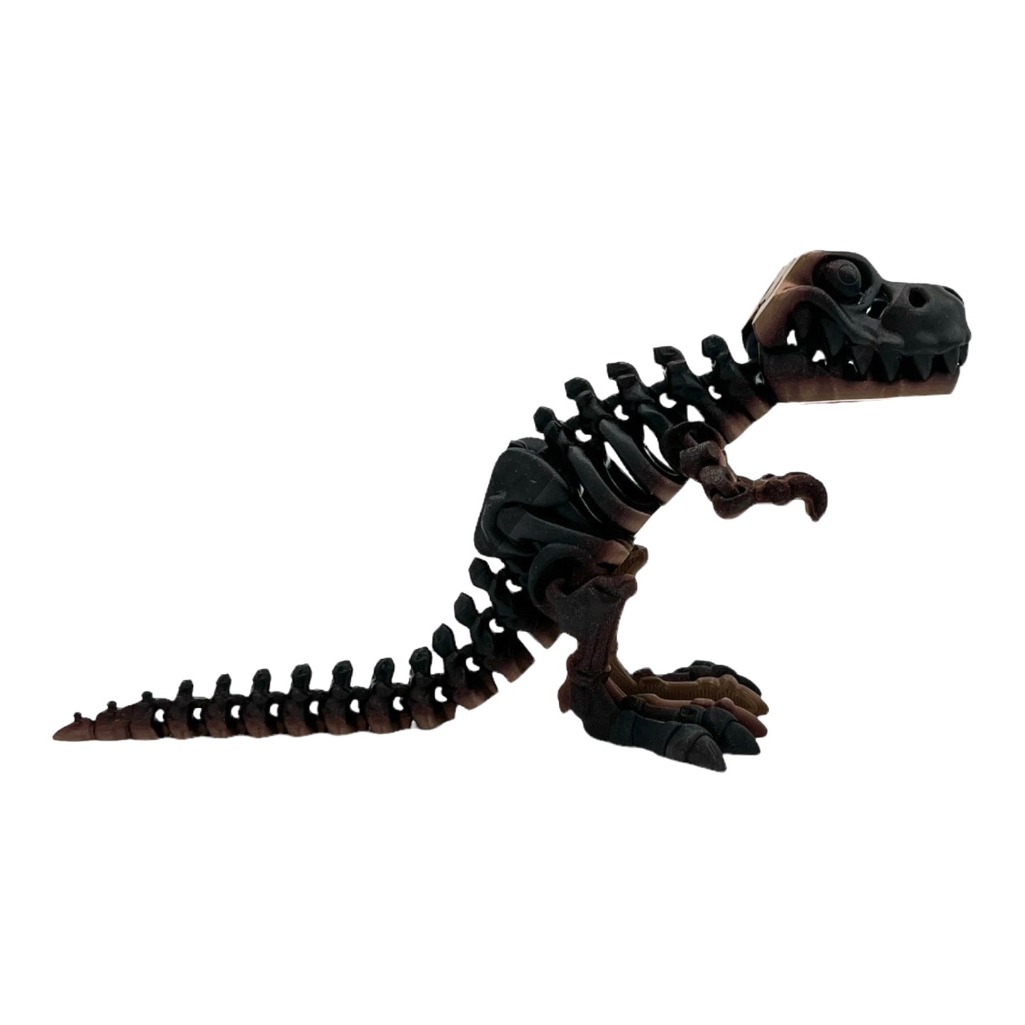 3D Printed T-Rex Skeleton