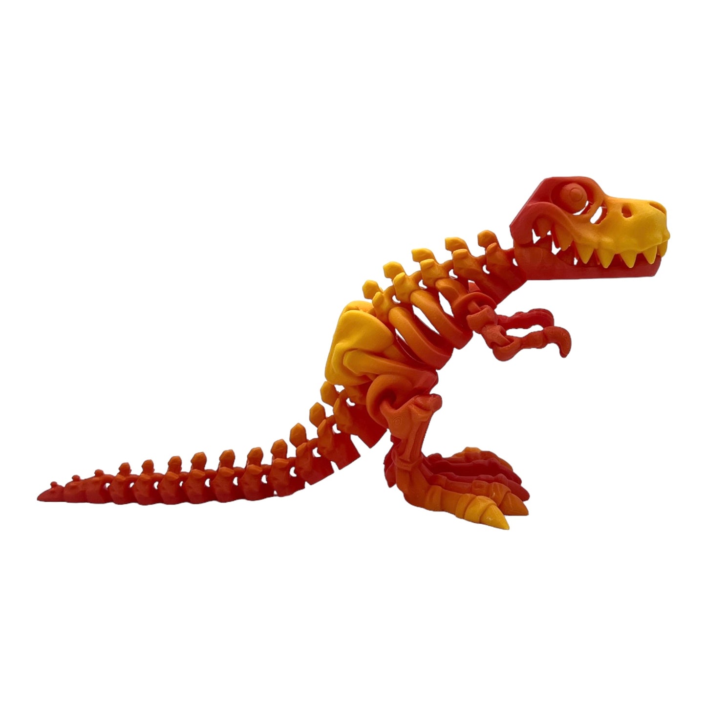 3D Printed T-Rex Skeleton