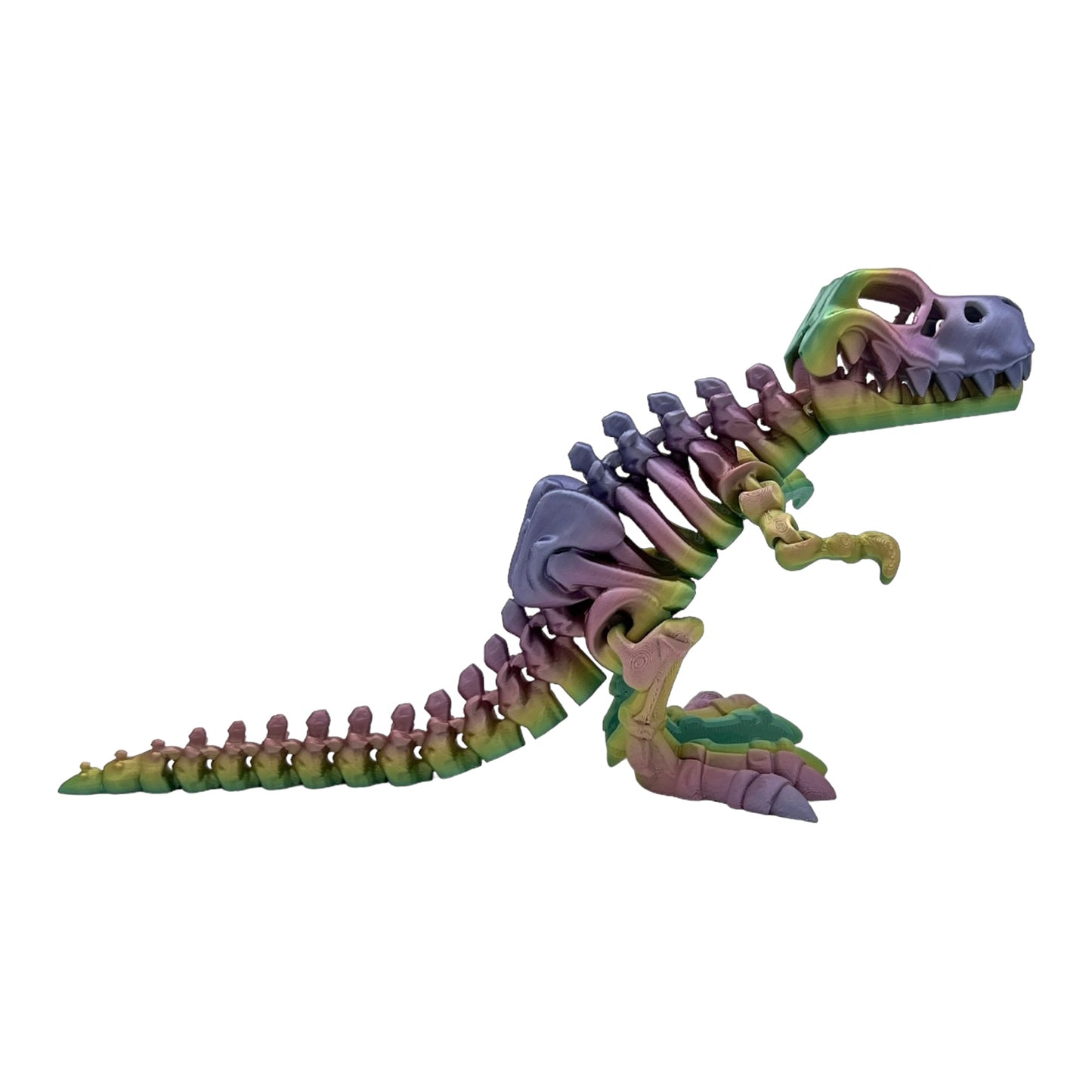 3D Printed T-Rex Skeleton