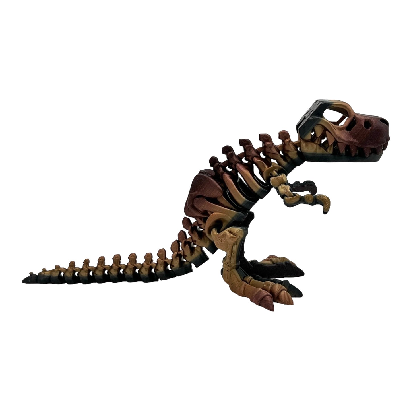 3D Printed T-Rex Skeleton