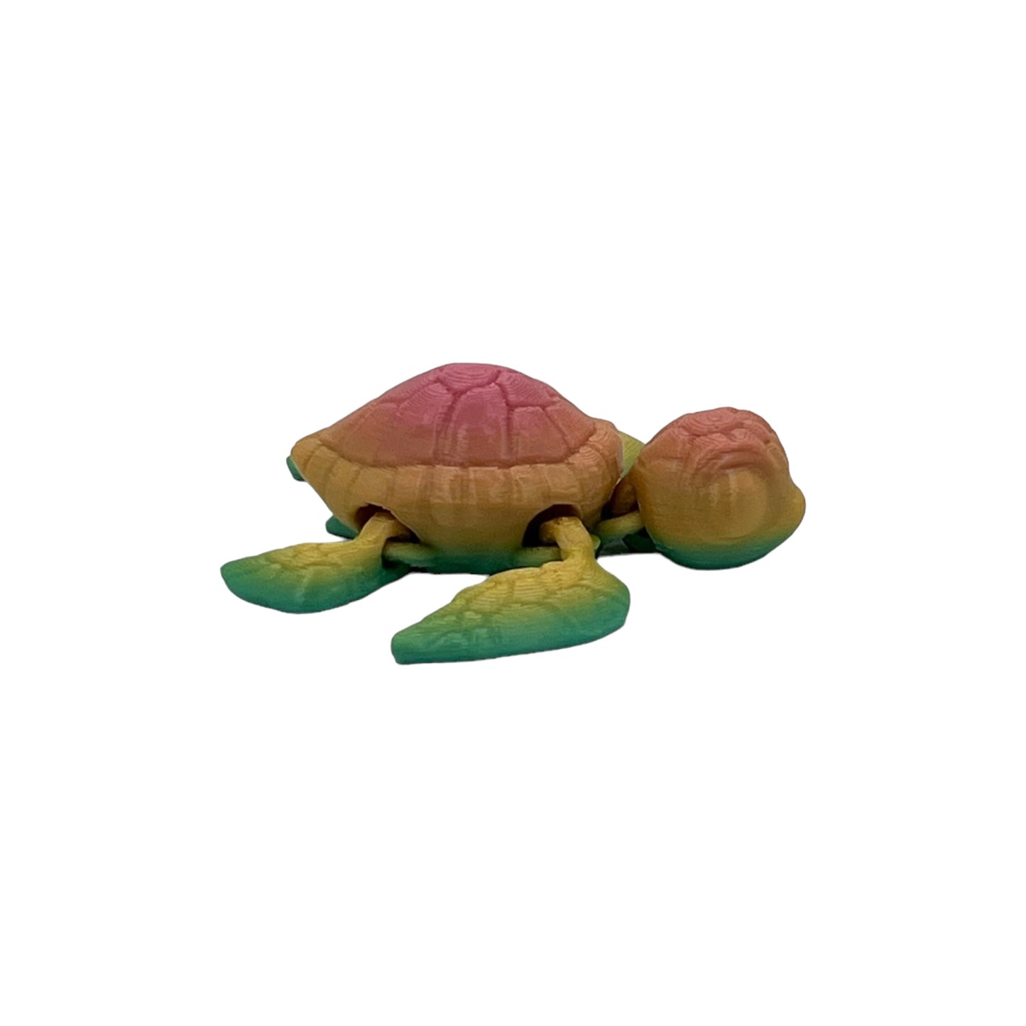 3D Printed Turtle