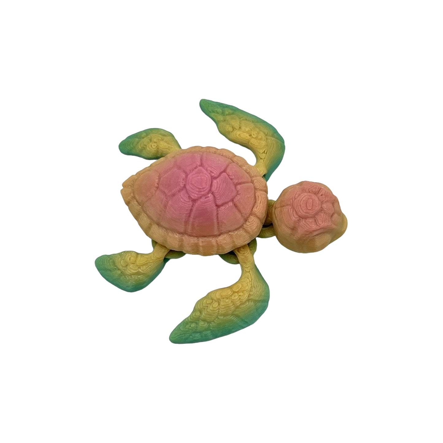 3D Printed Turtle