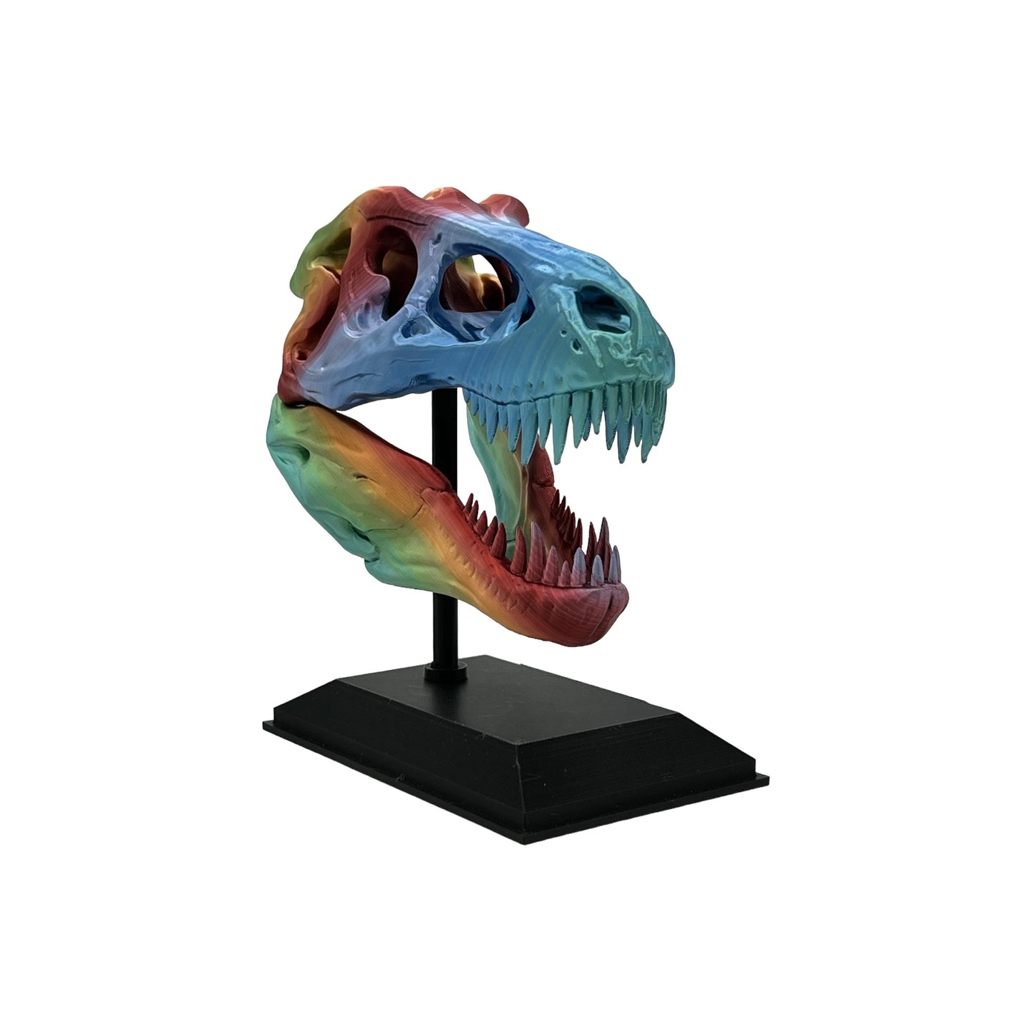 3D Printed T-Rex Skull
