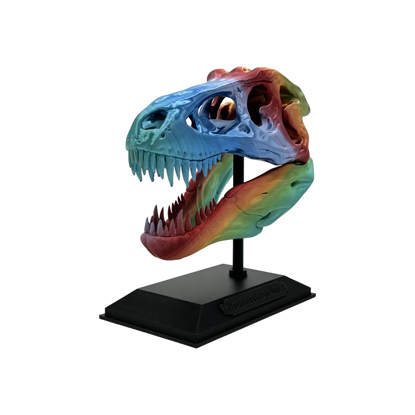3D Printed T-Rex Skull