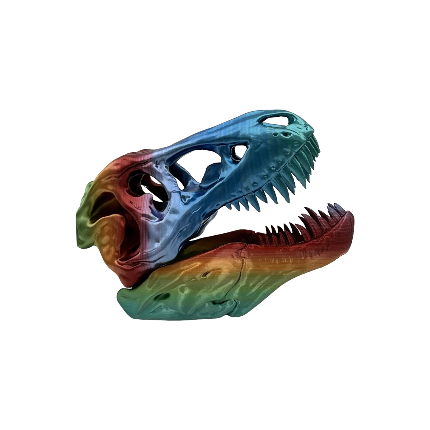 3D Printed T-Rex Skull