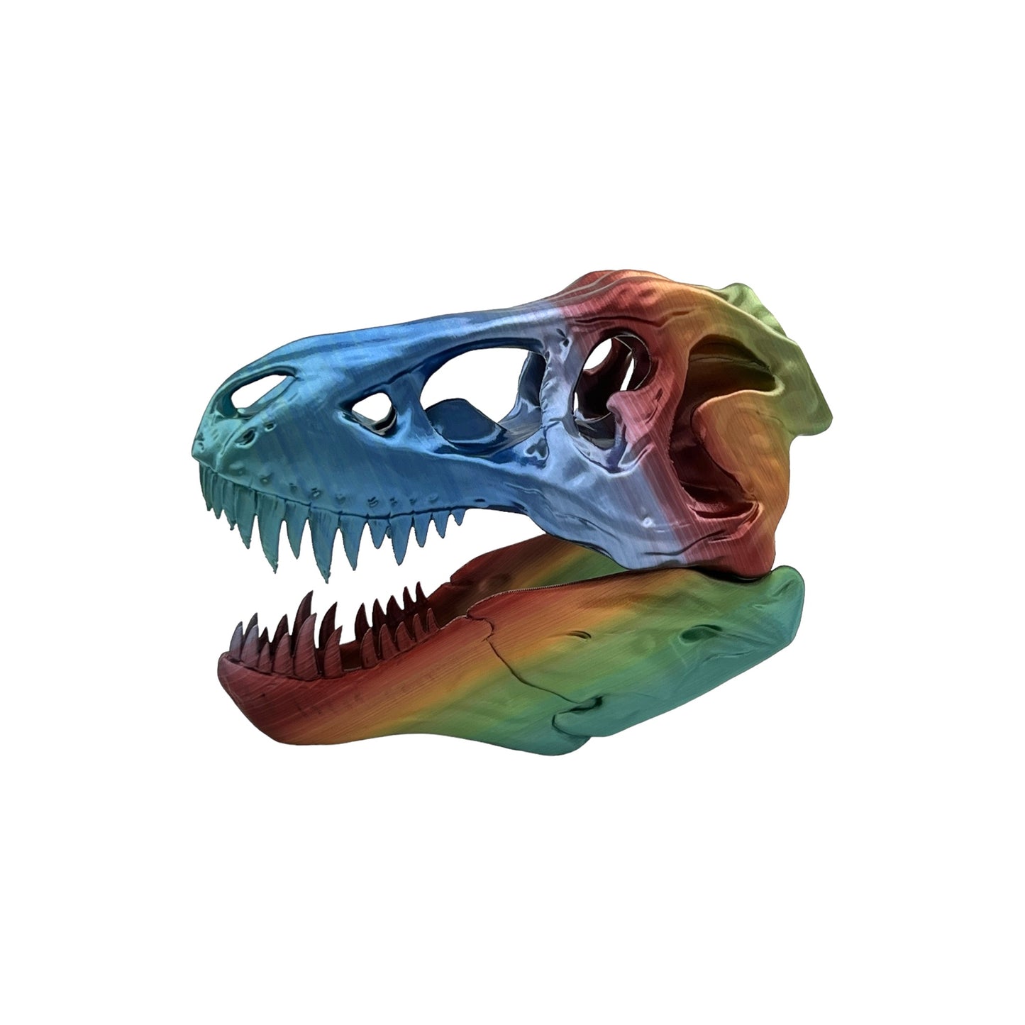 3D Printed T-Rex Skull