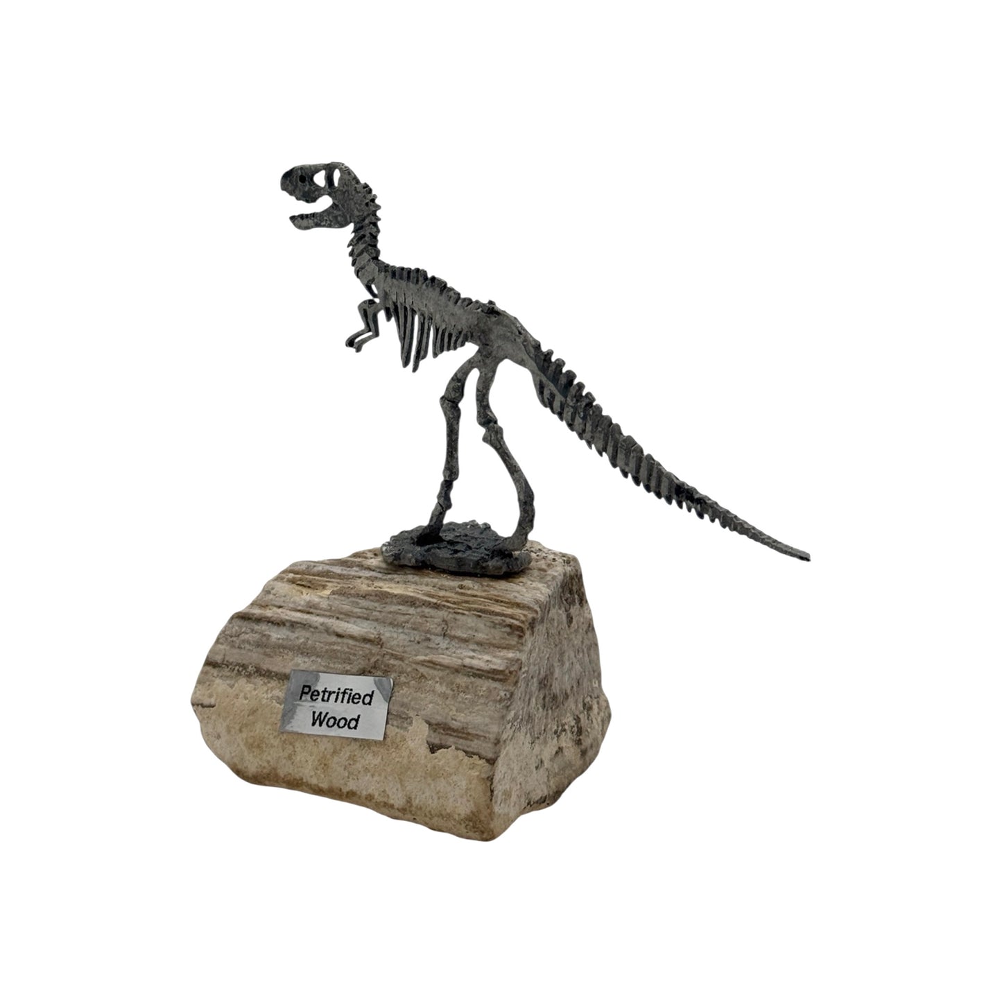 Dinosaur on Rock