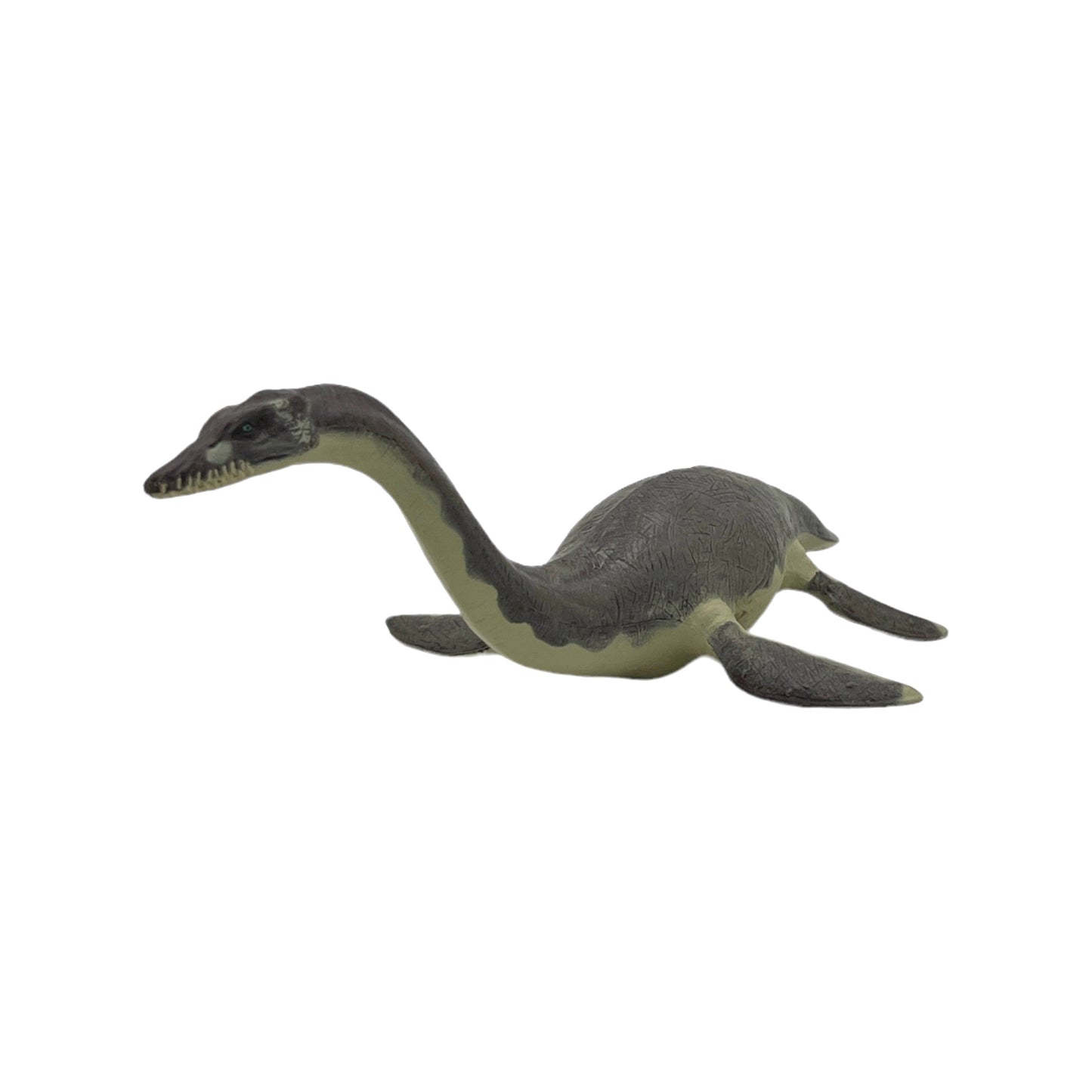 Plesiosaurus (Papo)