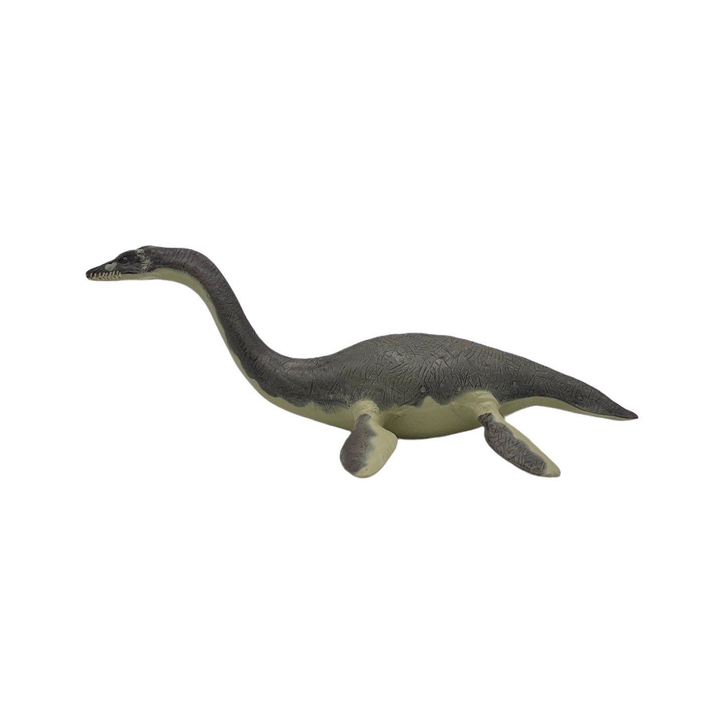 Plesiosaurus (Papo)