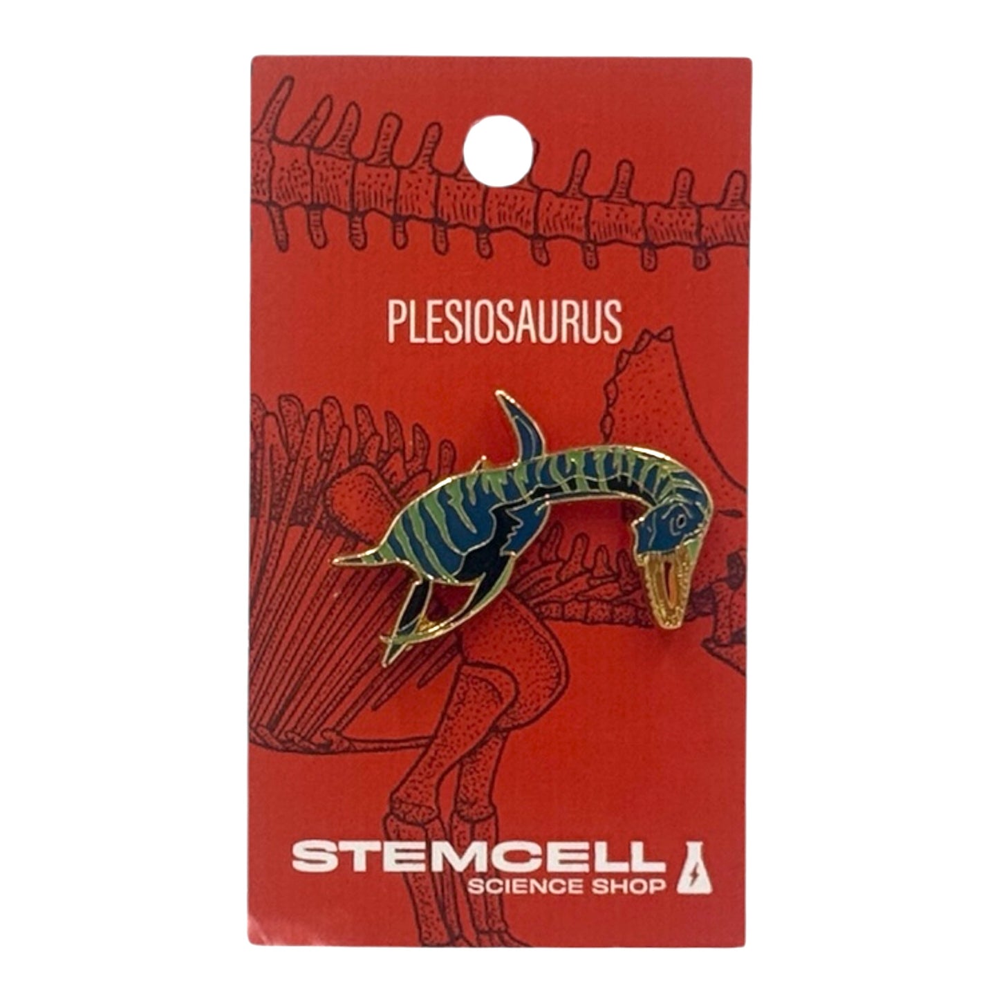 Prehistoric Pin