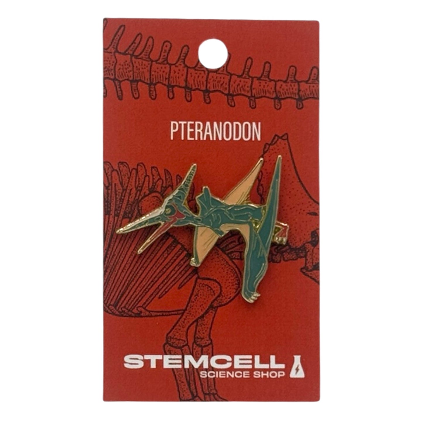 Prehistoric Pin