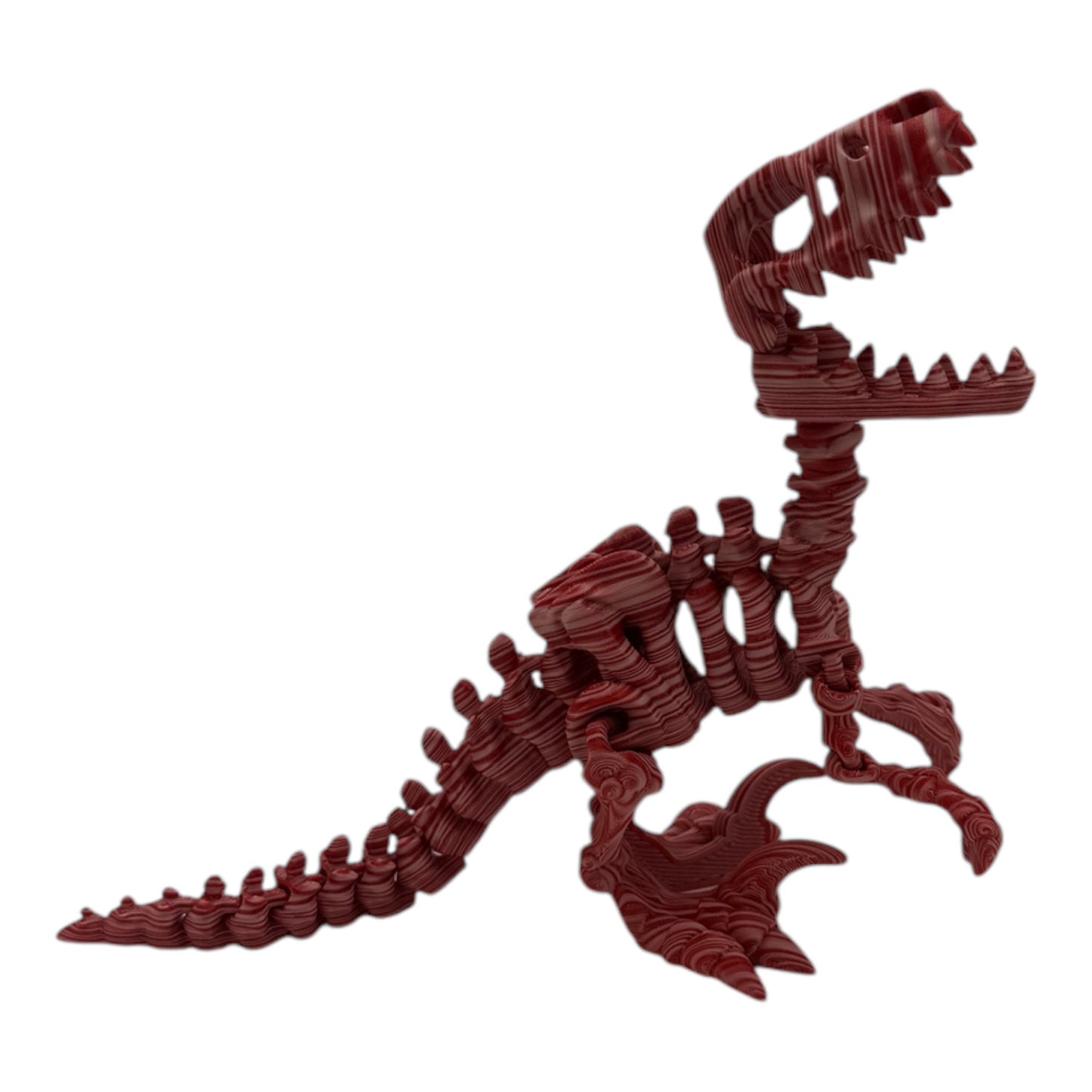 3D Printed Raptor Skeleton