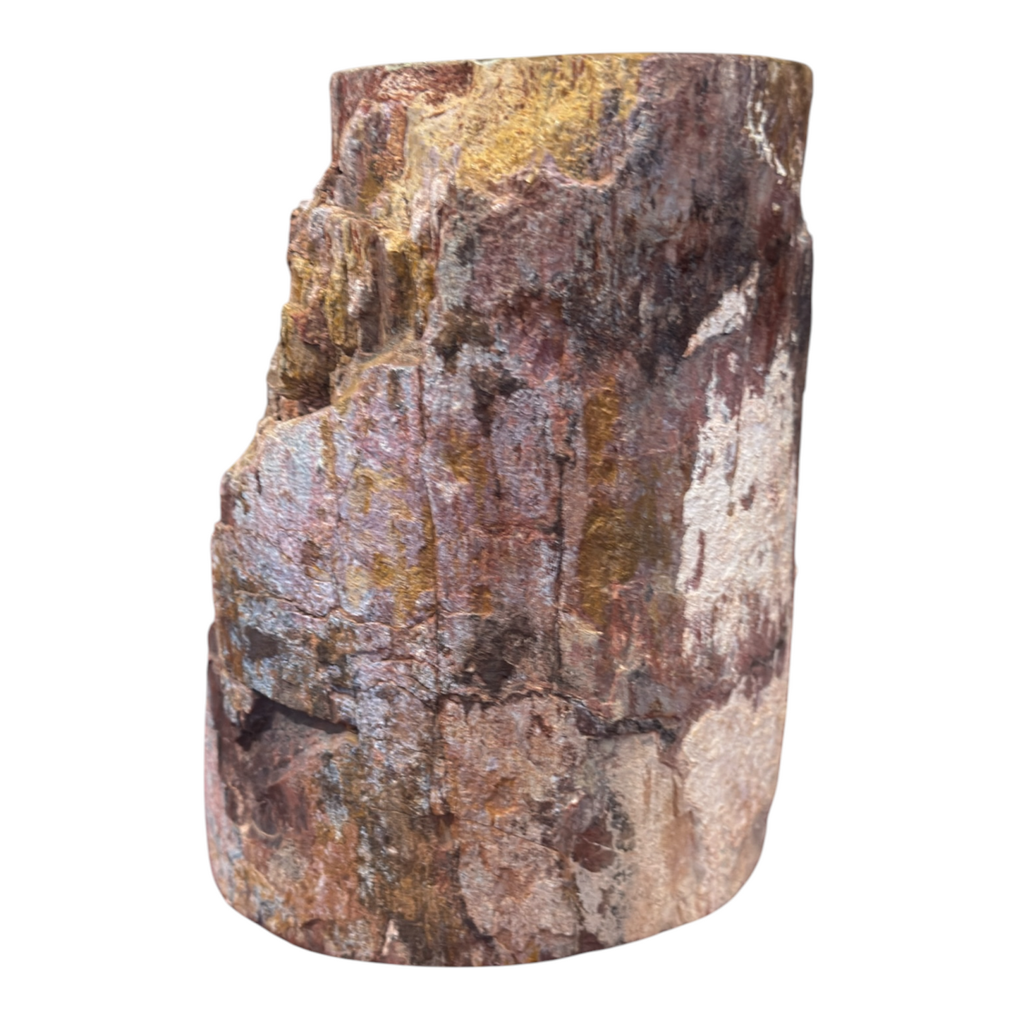 Sauropod Gem Bone