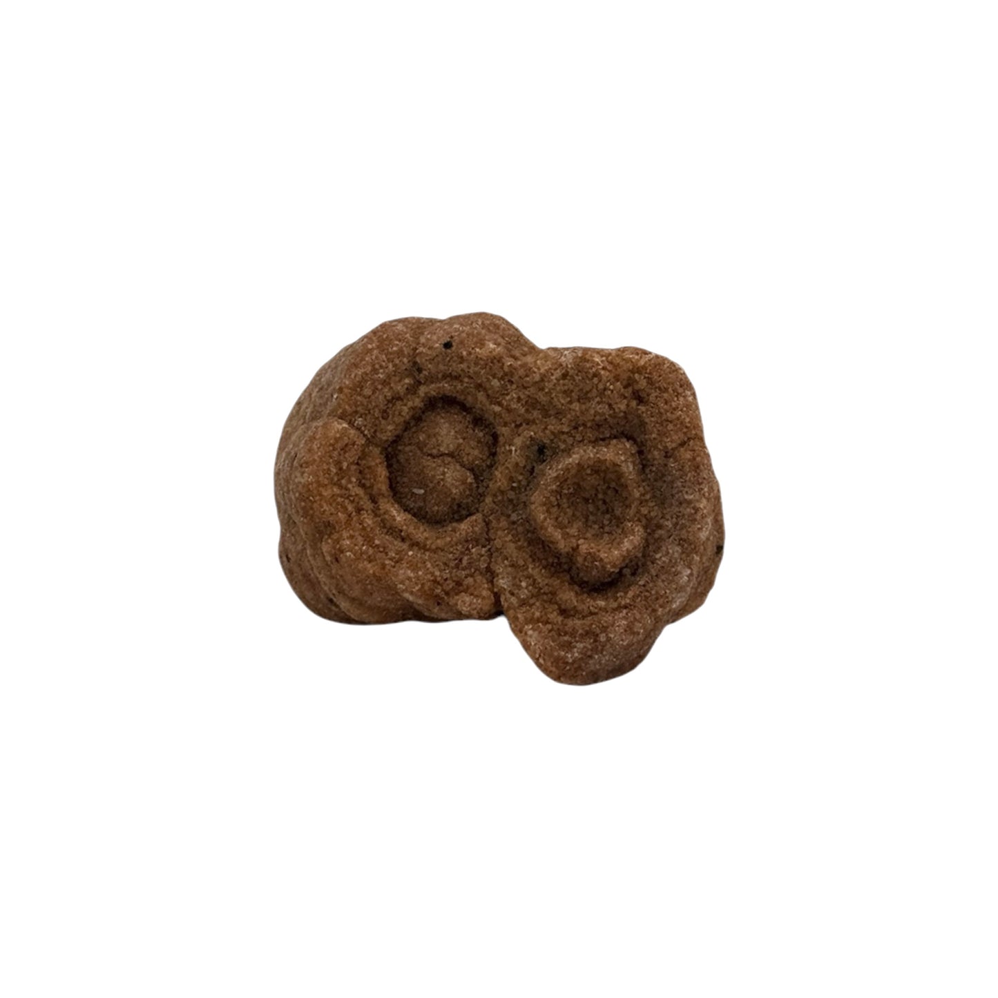 Sahara Concretion