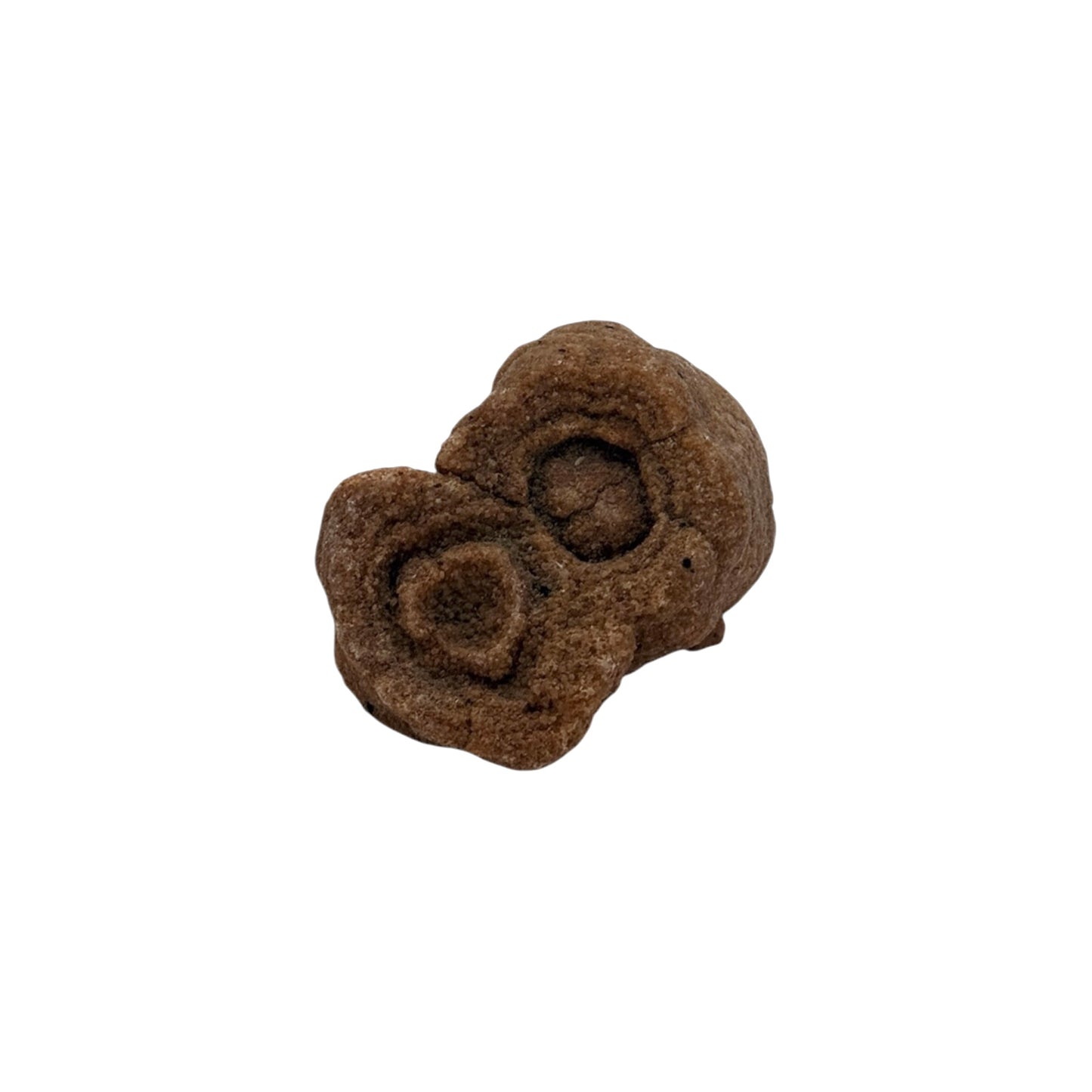 Sahara Concretion