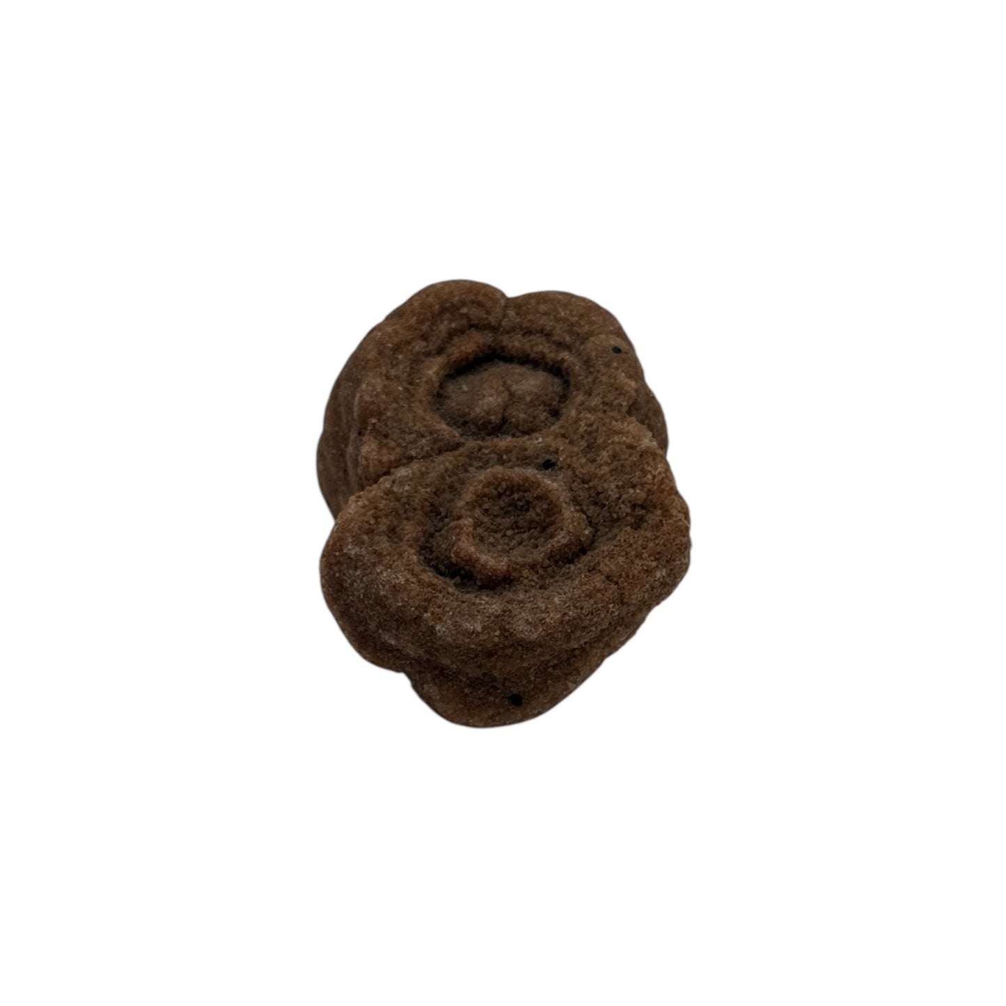 Sahara Concretion
