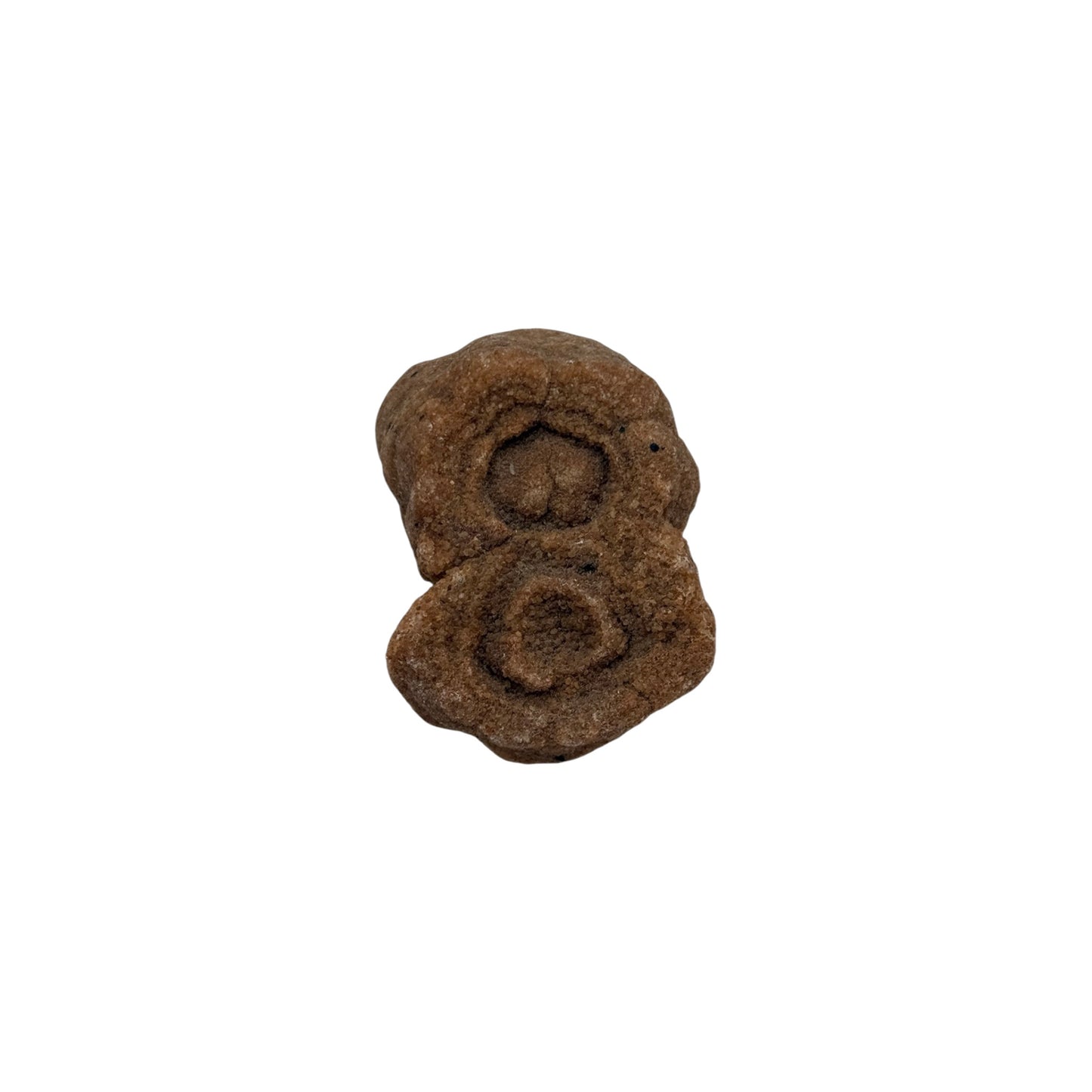 Sahara Concretion
