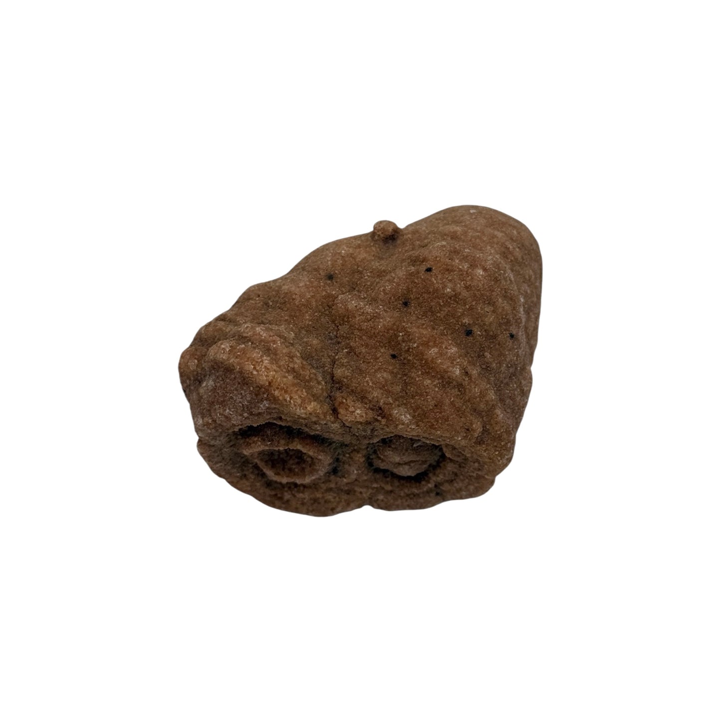 Sahara Concretion