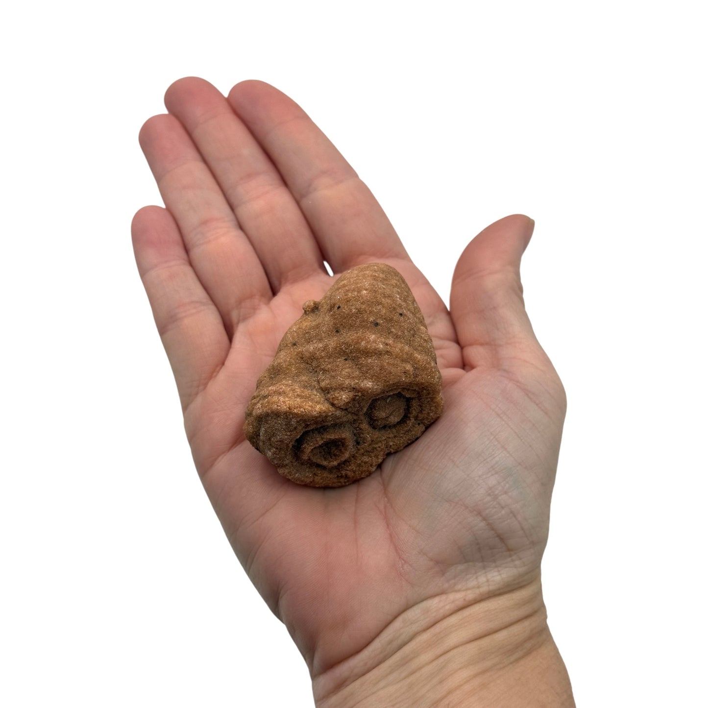 Sahara Concretion