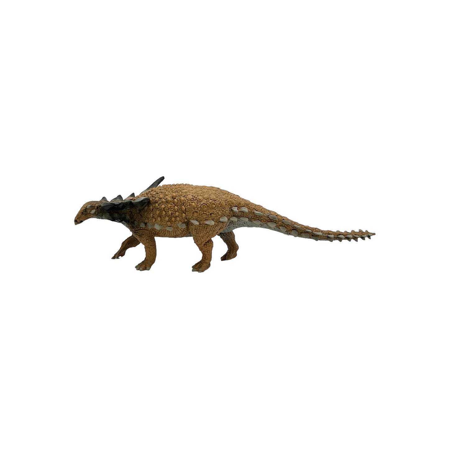 Sauropelta (Safari)