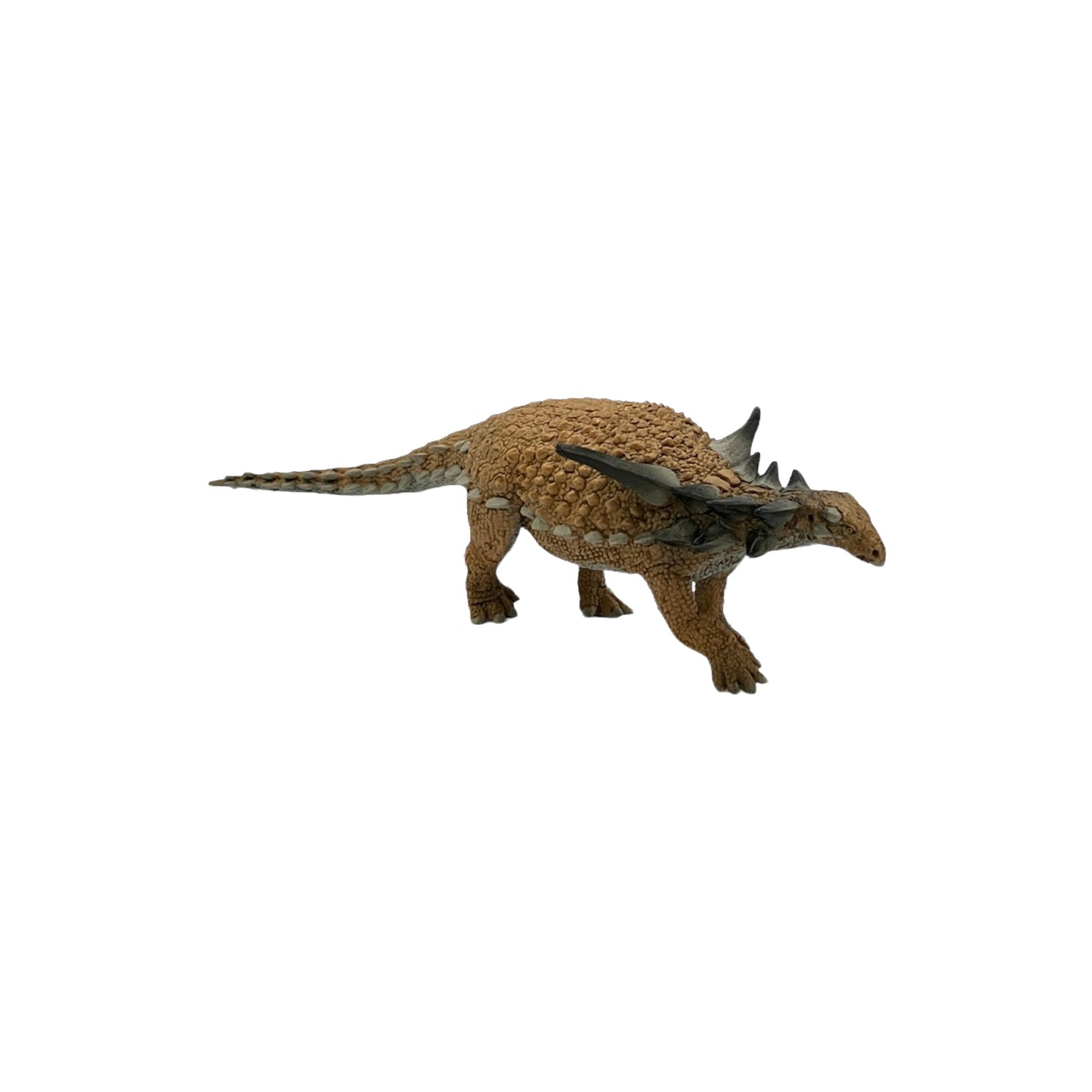 Sauropelta (Safari)