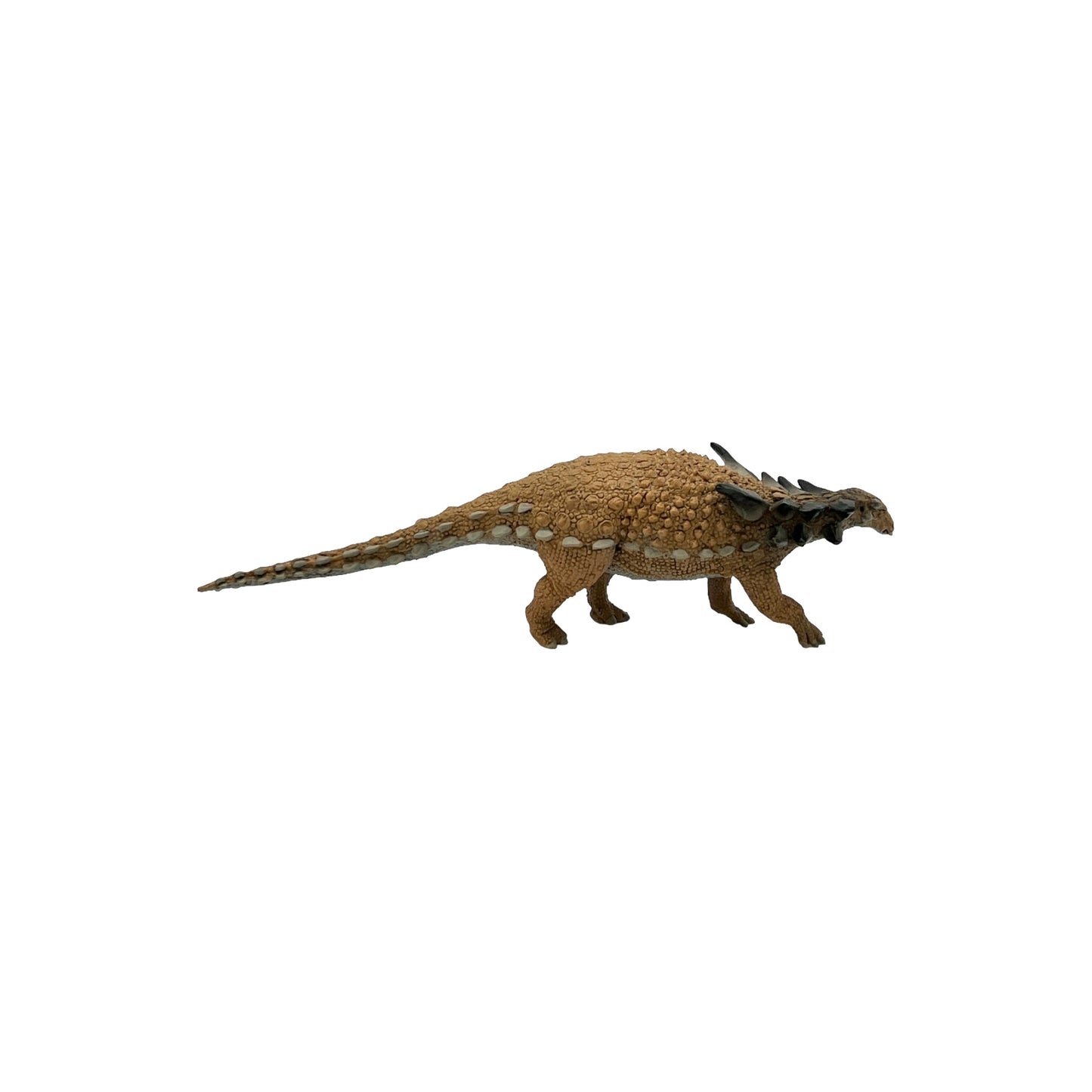 Sauropelta (Safari)