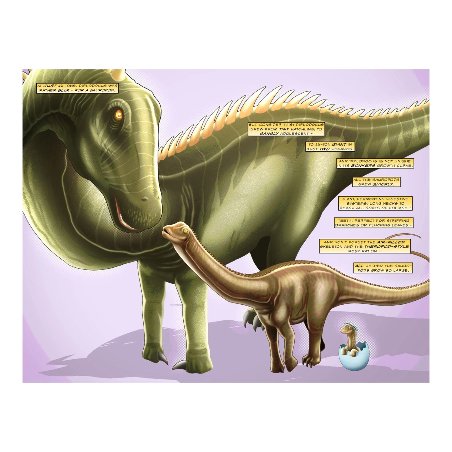 Sauropods: The Largest Animals to Ever Walk the Earth
